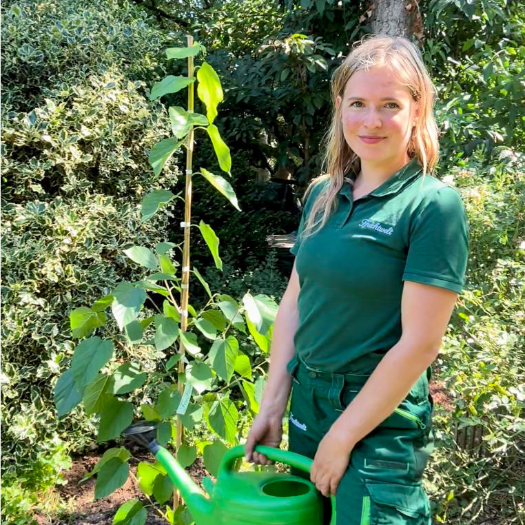Kann man Obstbäume und Beerensträucher auch im Sommer pflanzen?