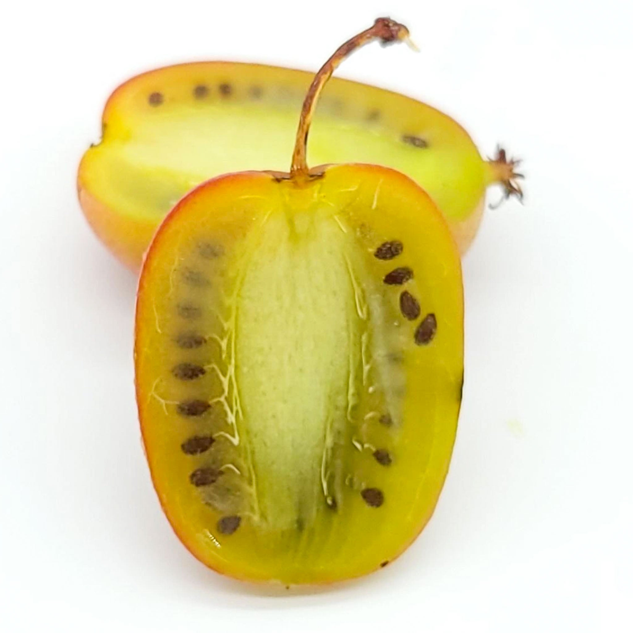 Kiwibeere 'Ananasnaya'