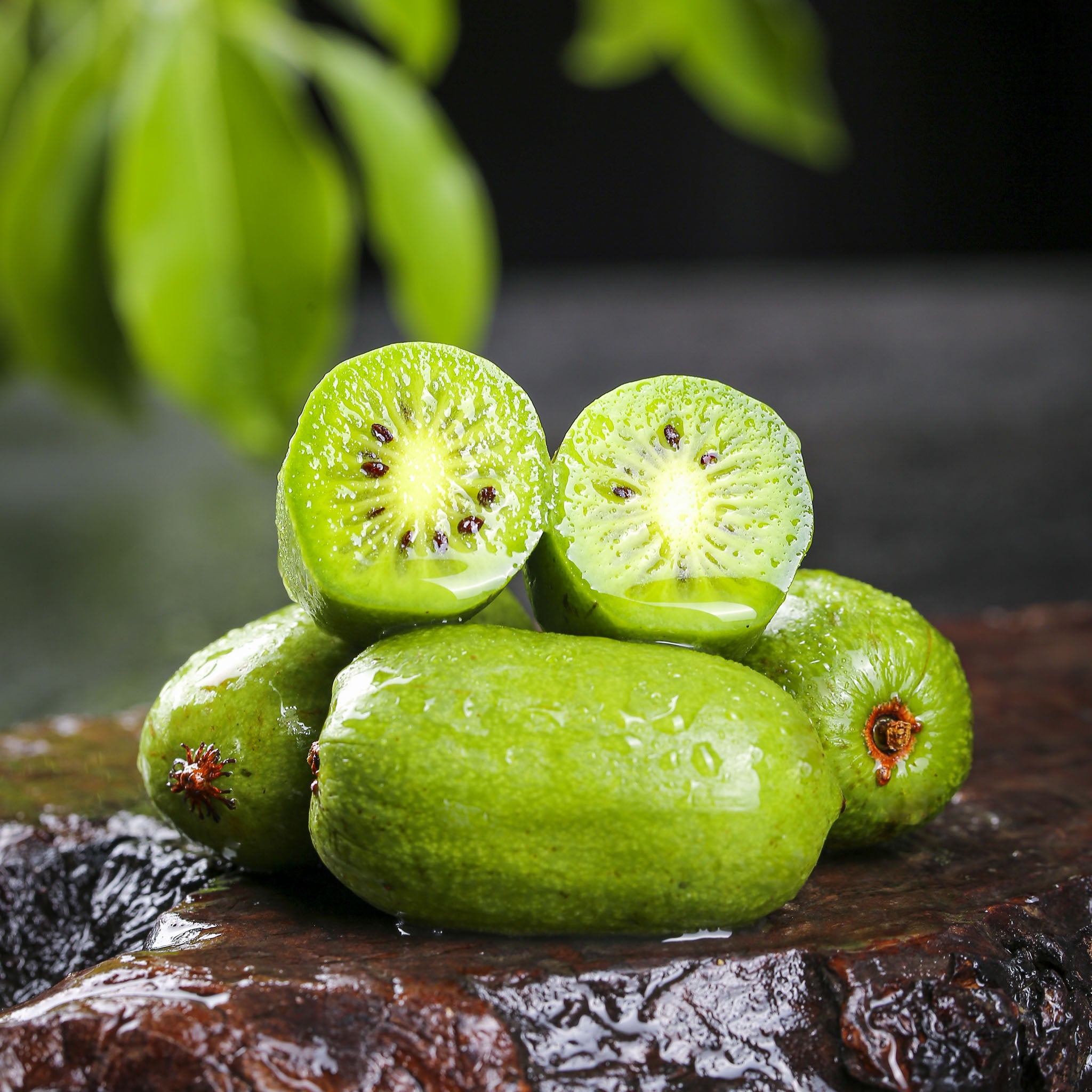 Kiwibeere 'Super Jumbo‘
