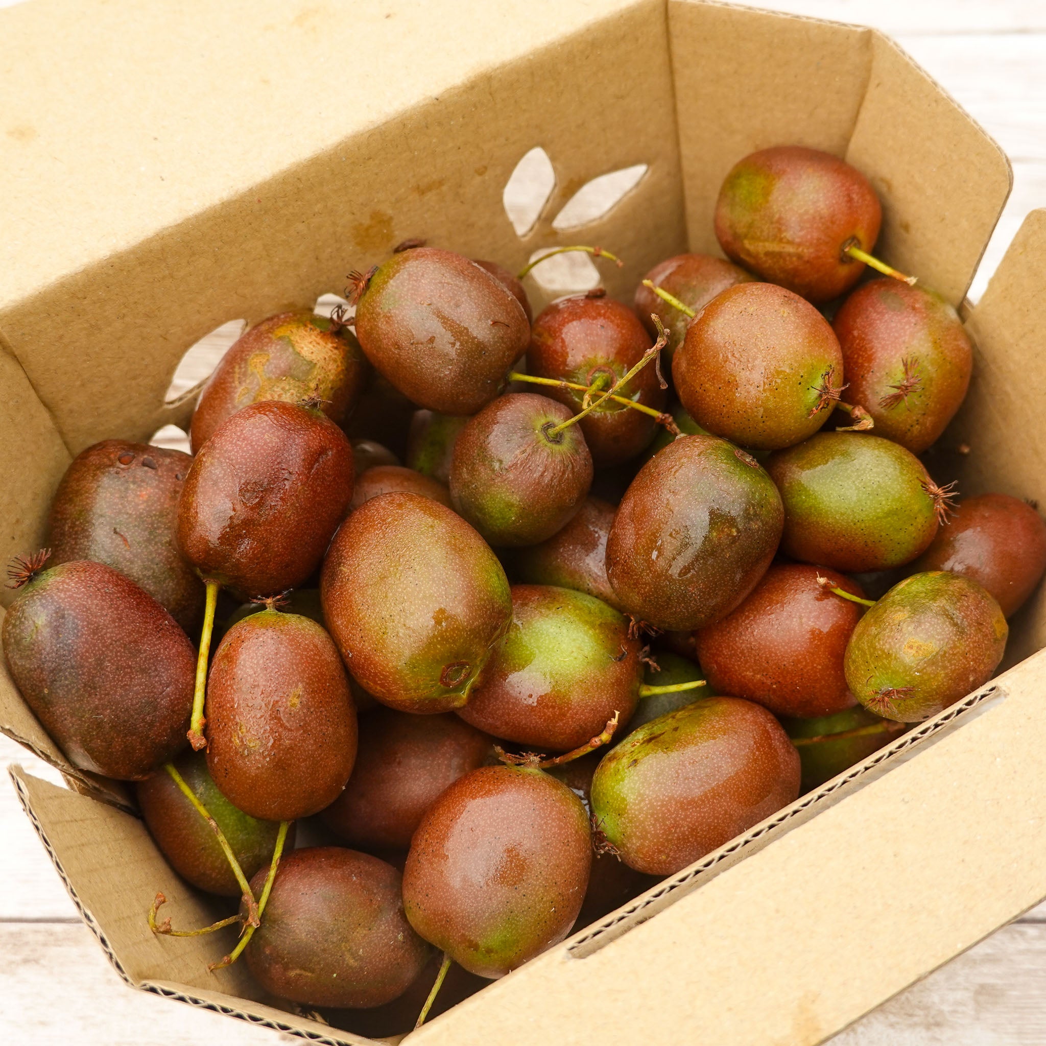 Kiwibeere 'Weiki'