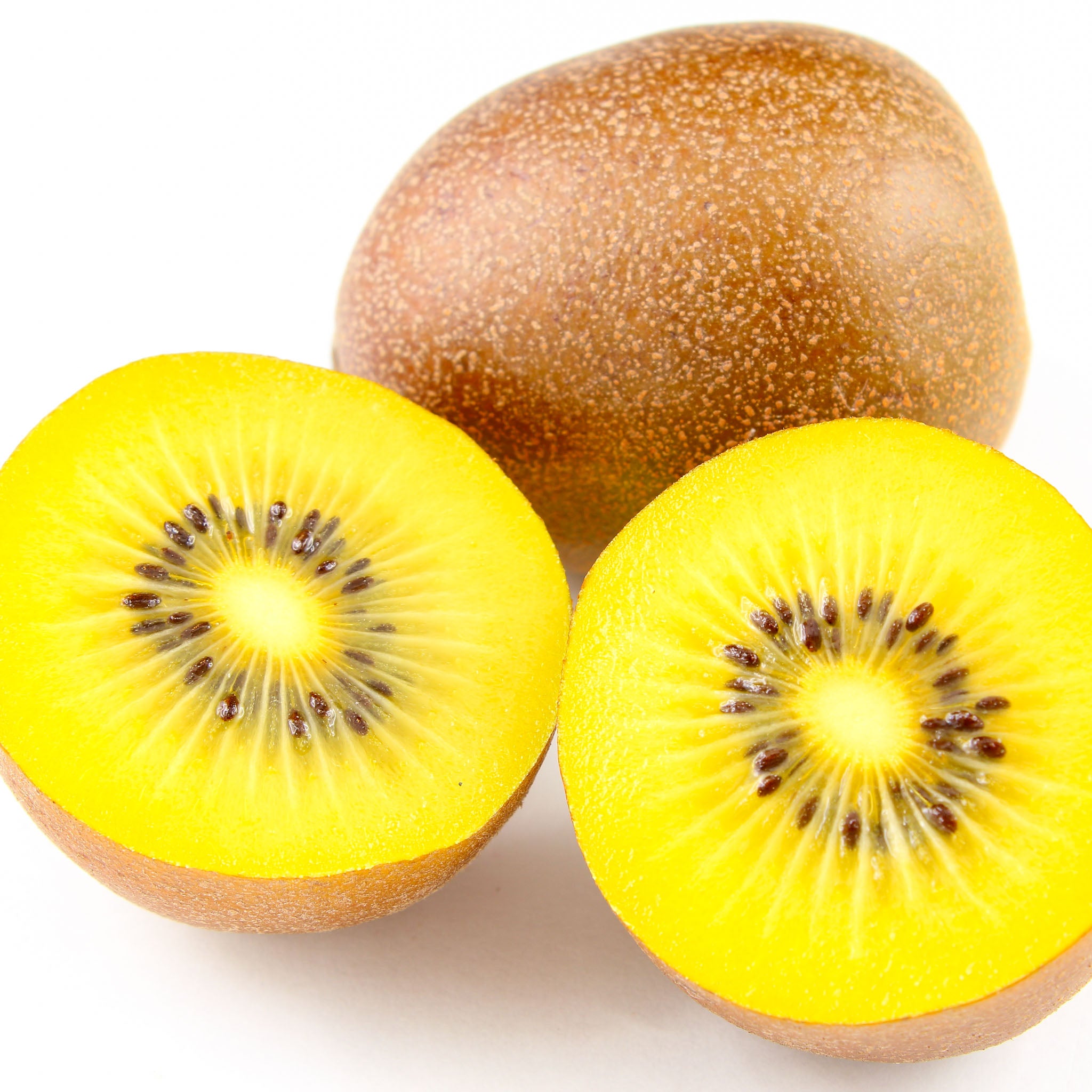 Echte Kiwi 'Golden Kiwi'