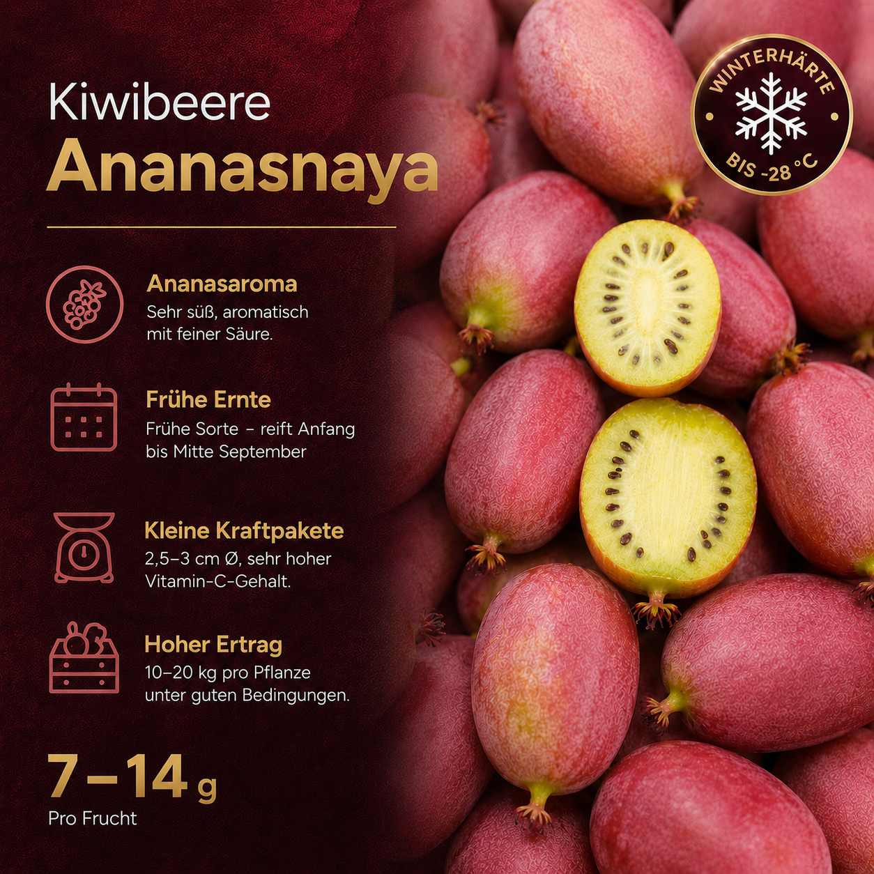 Kiwibeere 'Ananasnaya'