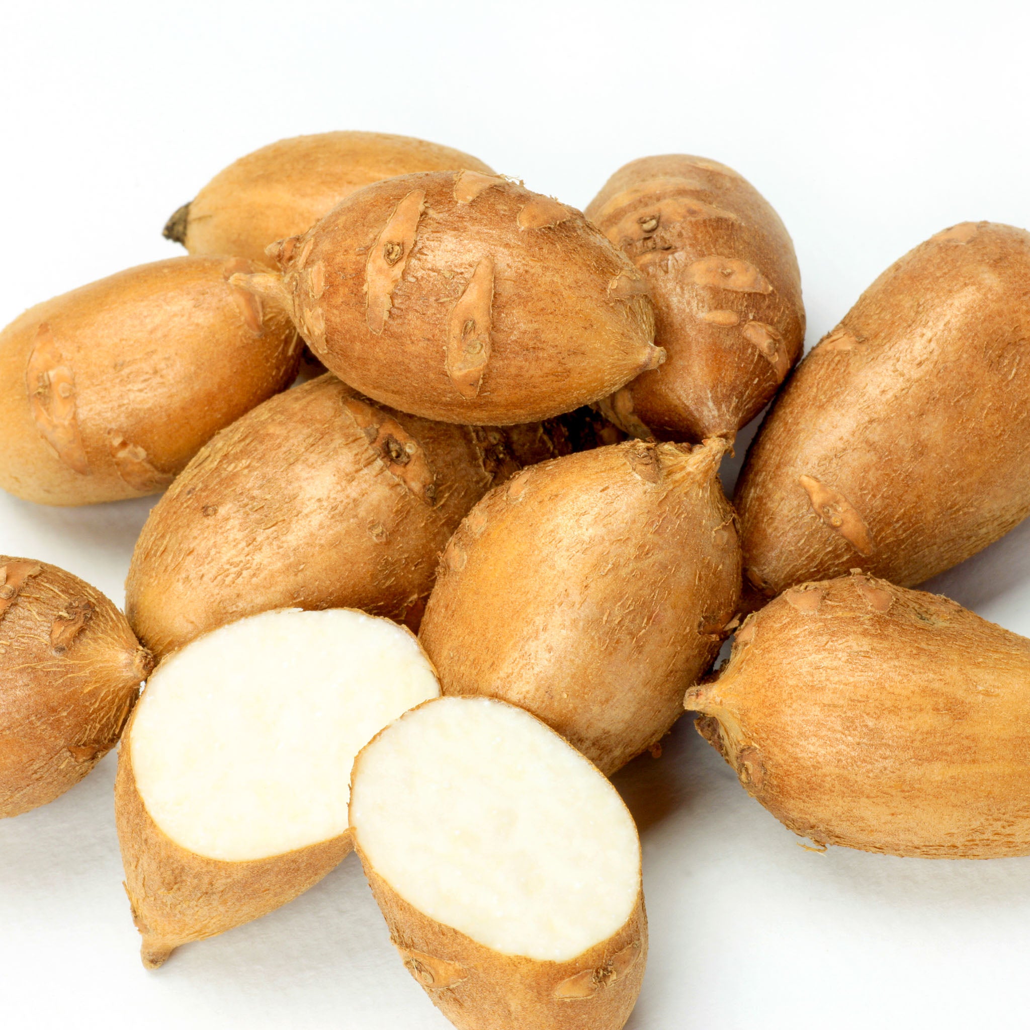 Indianerknolle