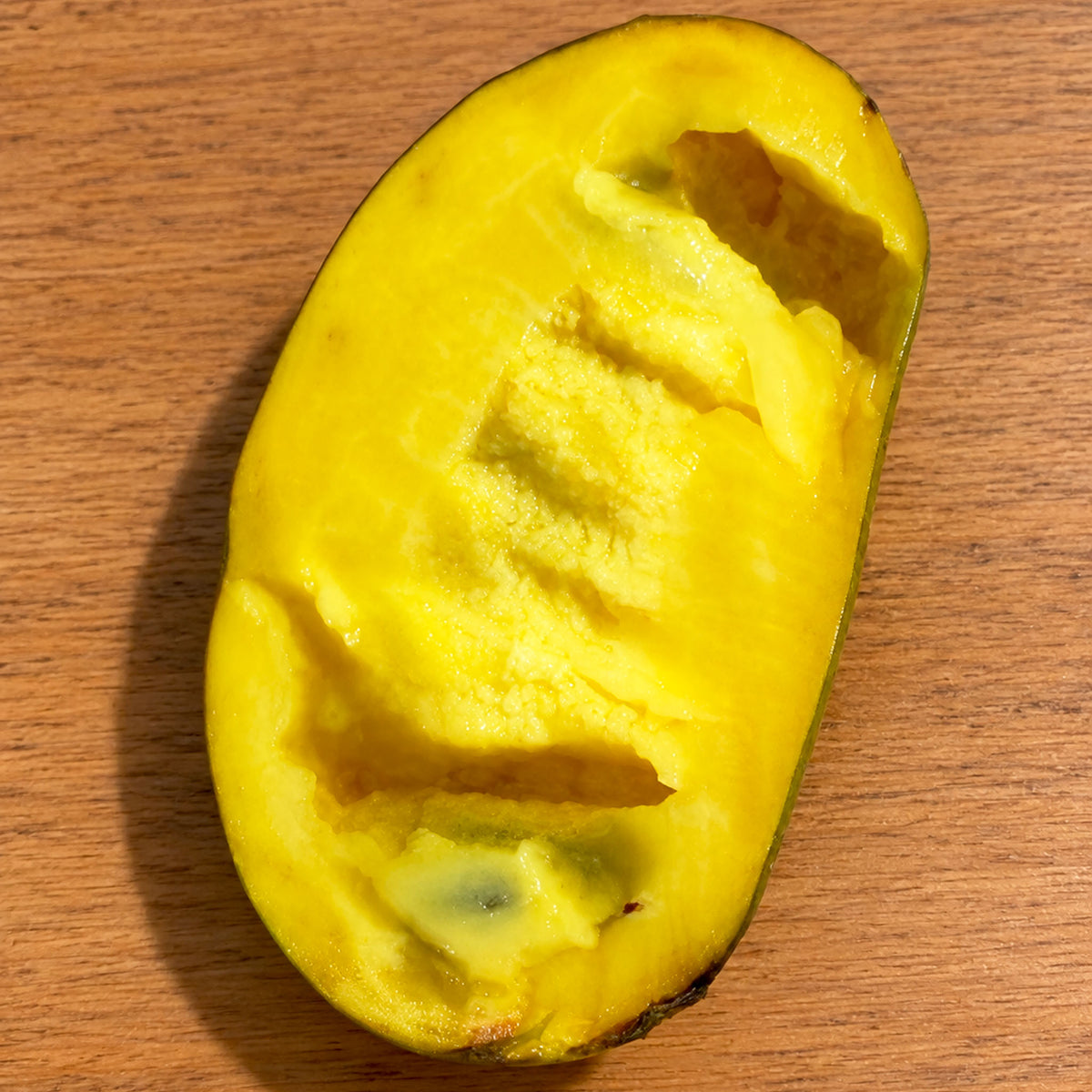 Pawpaw 'Allegheny'