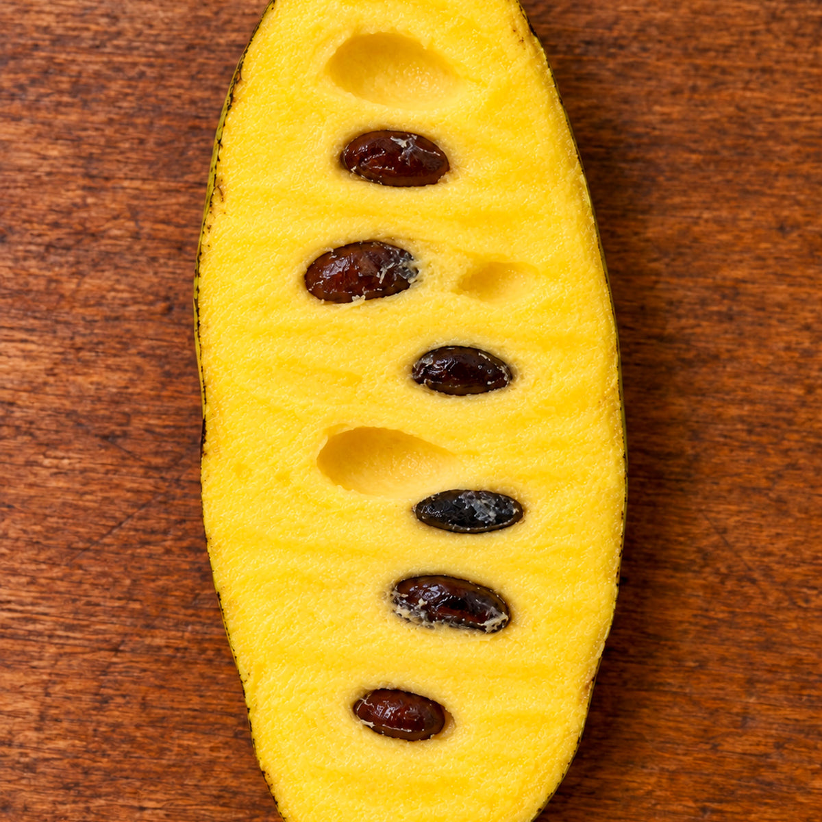 Pawpaw 'KSU-Atwood'