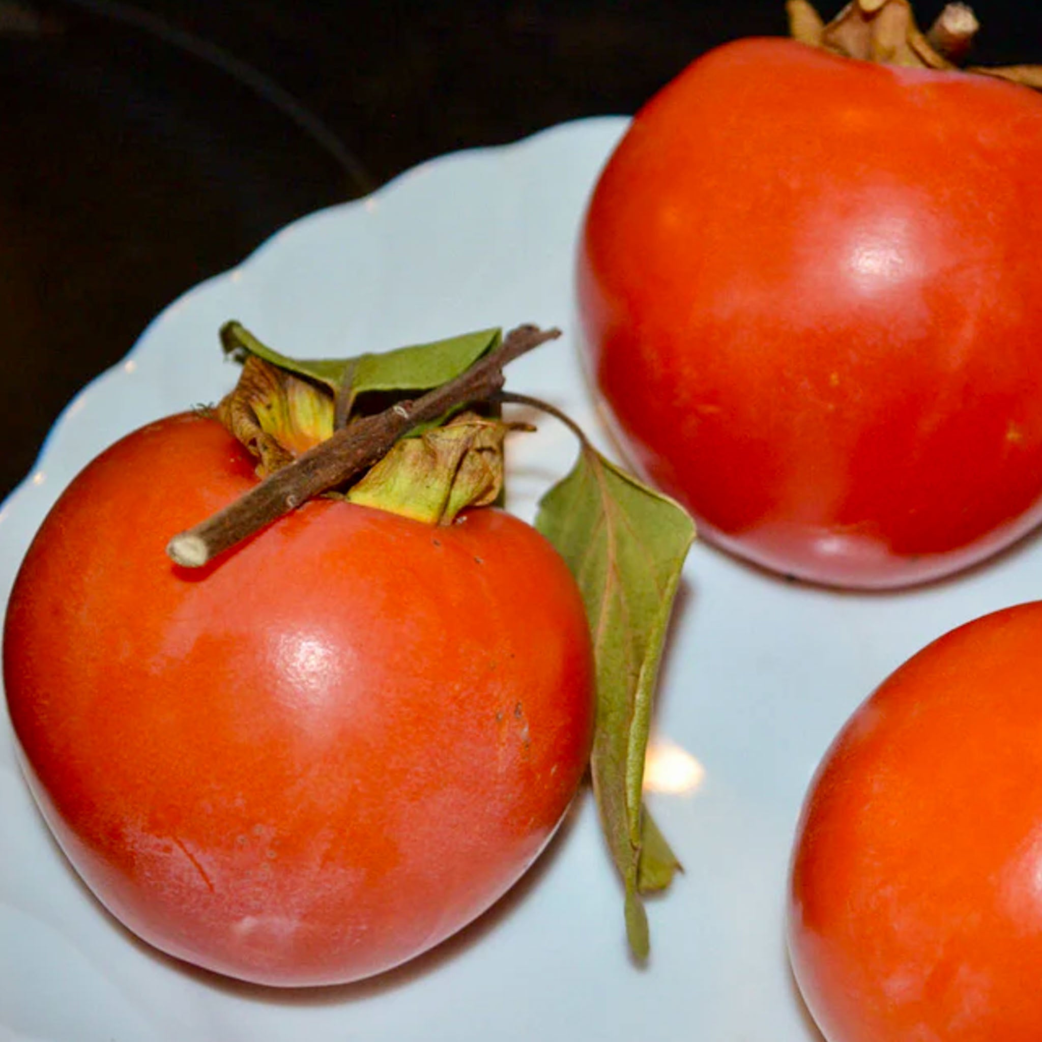 Kaki-Kreuzung 'Rosseyanka'