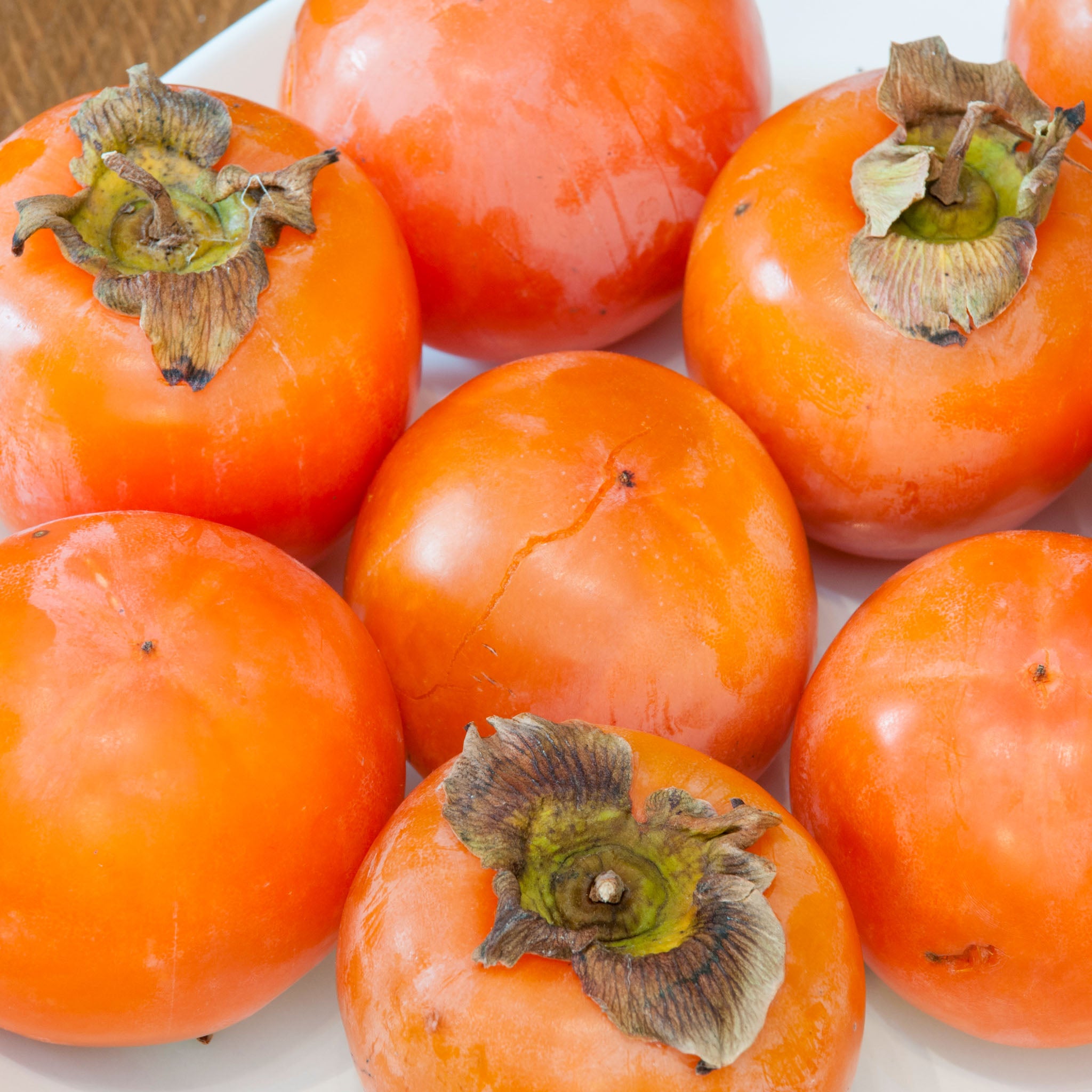 Persimone 'Meader'