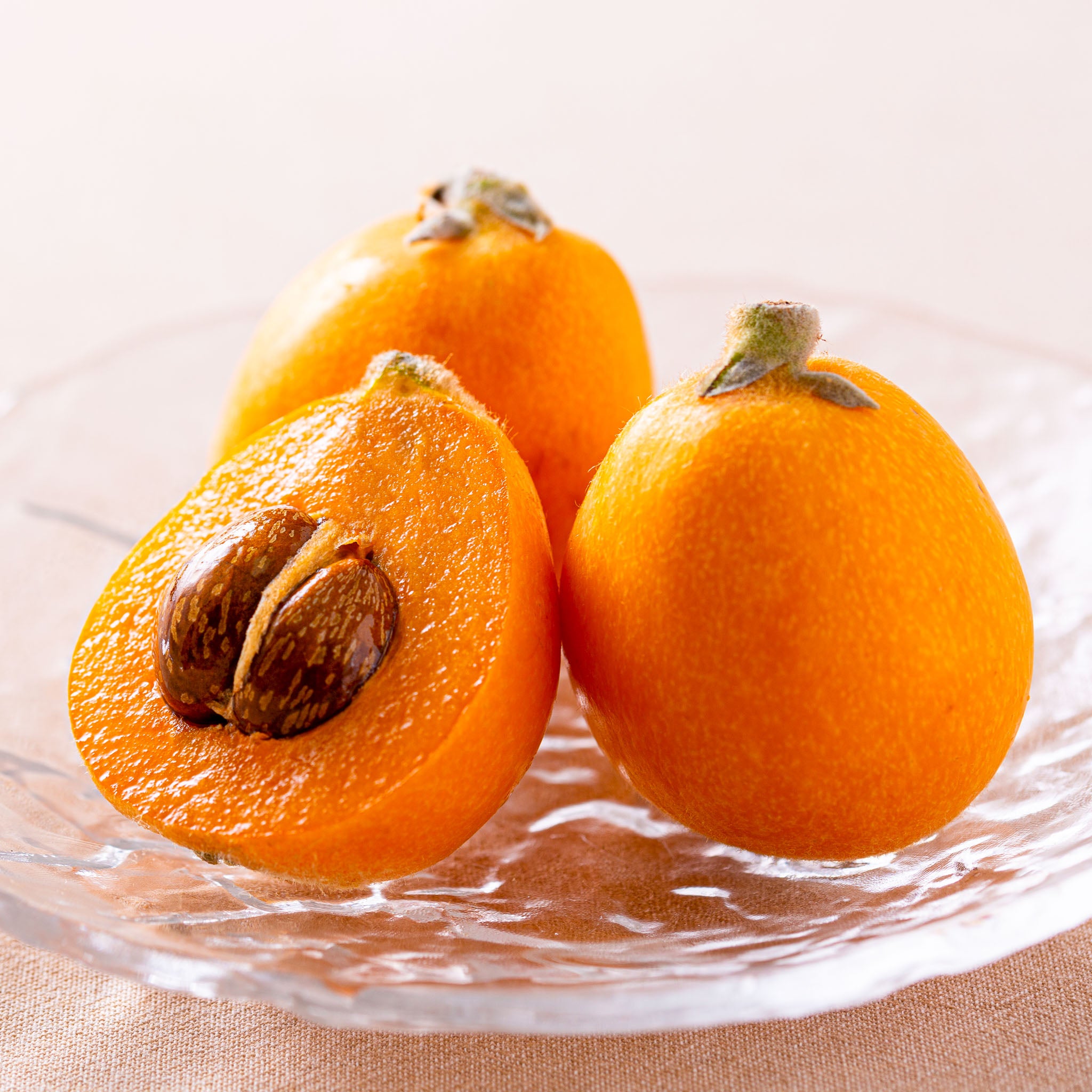 Wollmispel 'Tanaka'
