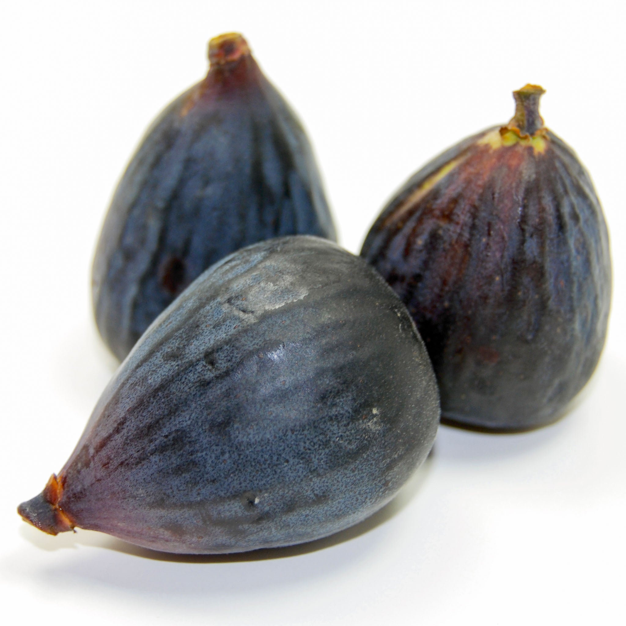 Feige 'Bornholm'