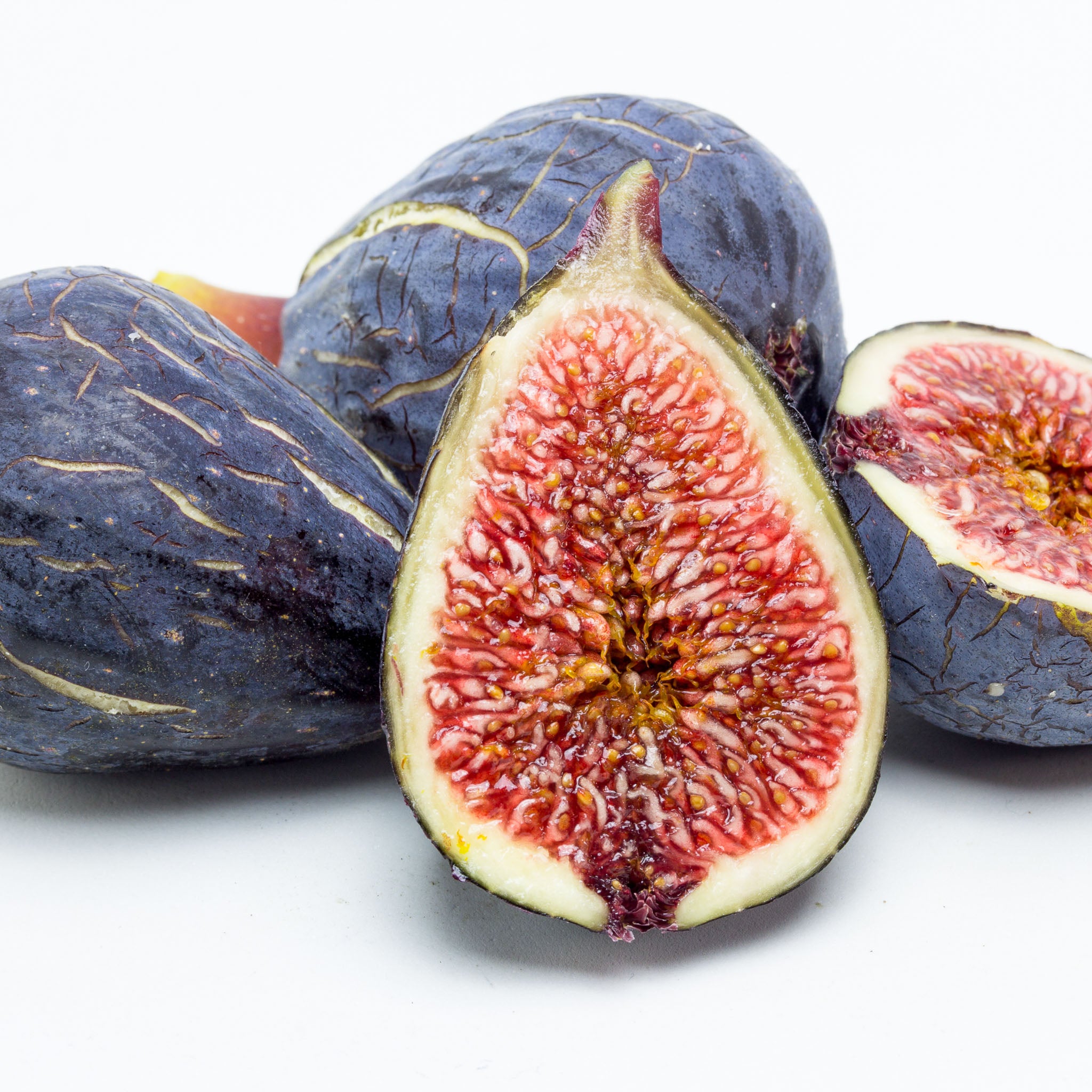 Feige 'Sultane'