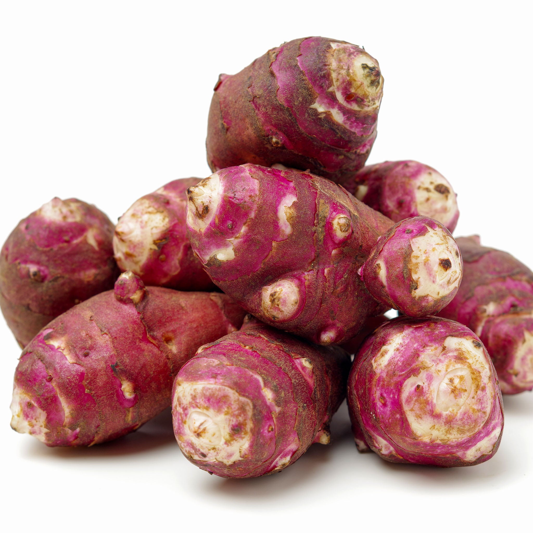 Topinambur 'Gföhler Rote'