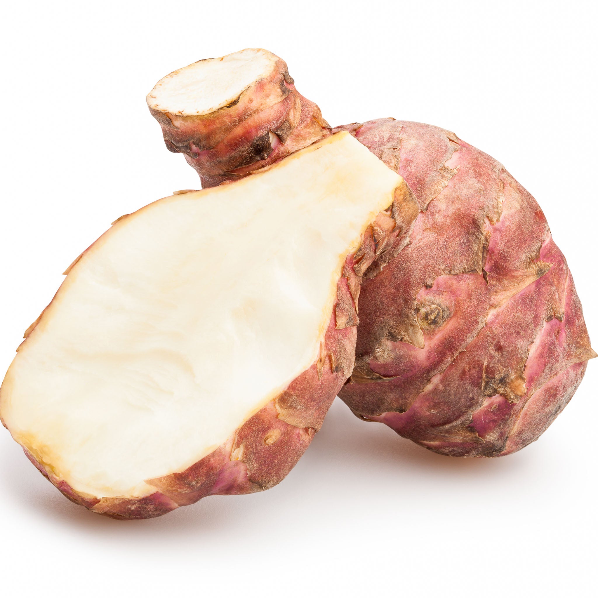 Topinambur 'Gföhler Rote'