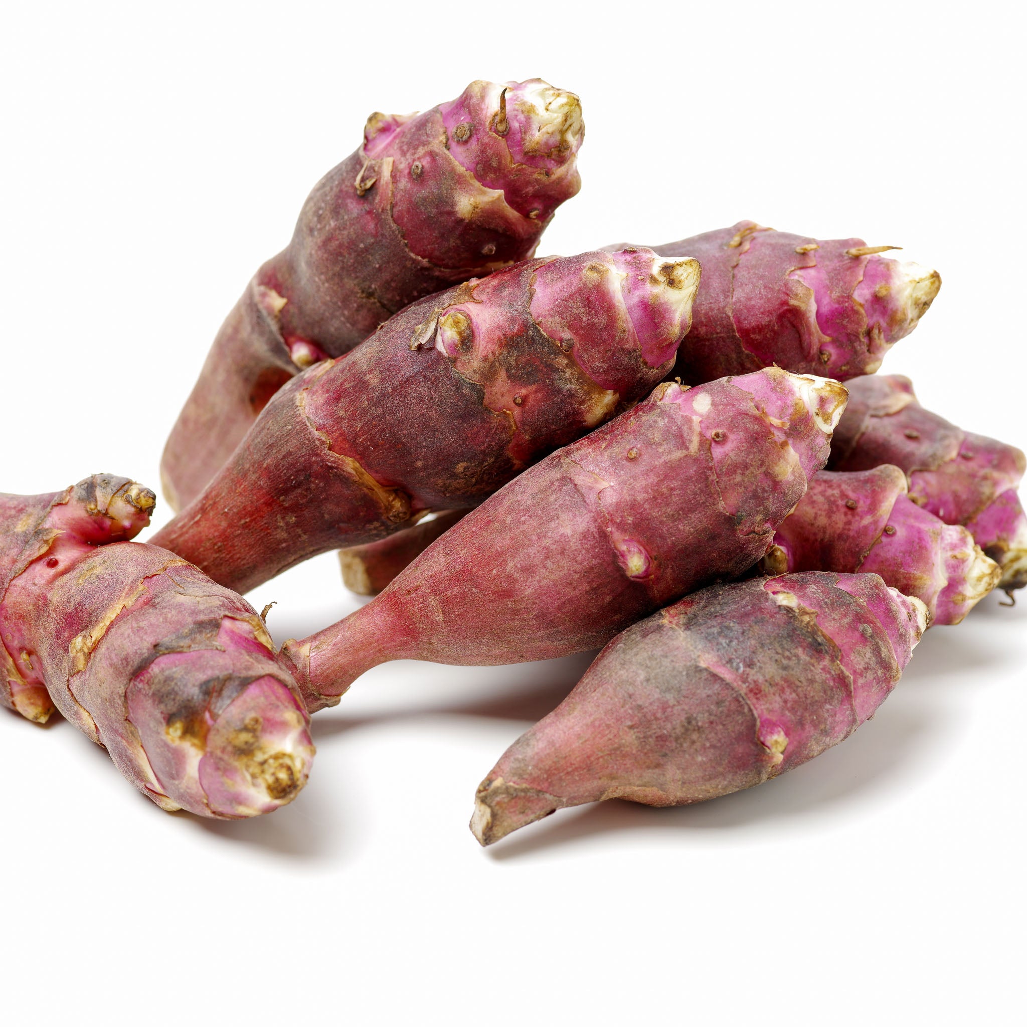 Topinambur 'Rote Keule'
