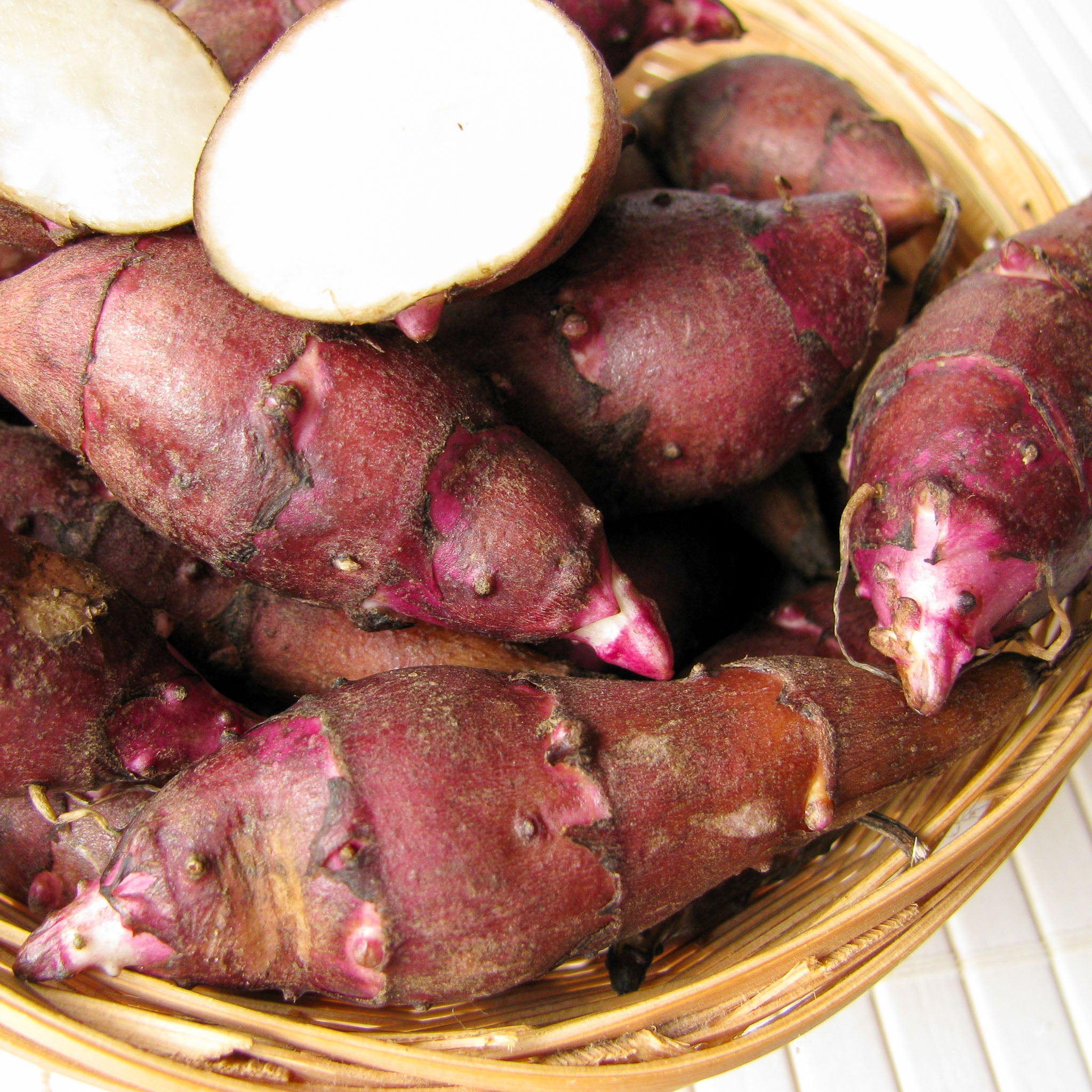 Topinambur 'Rote Keule'
