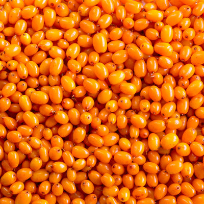 Sanddorn 'Orange Energy'