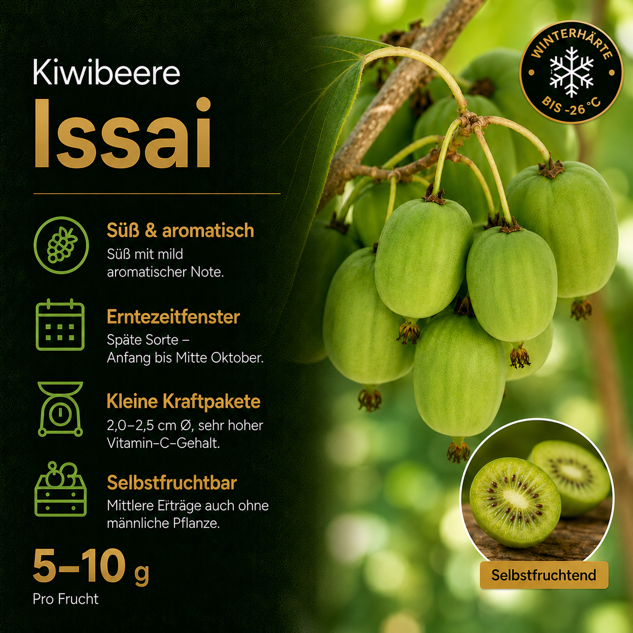 Kiwibeere 'Issai‘