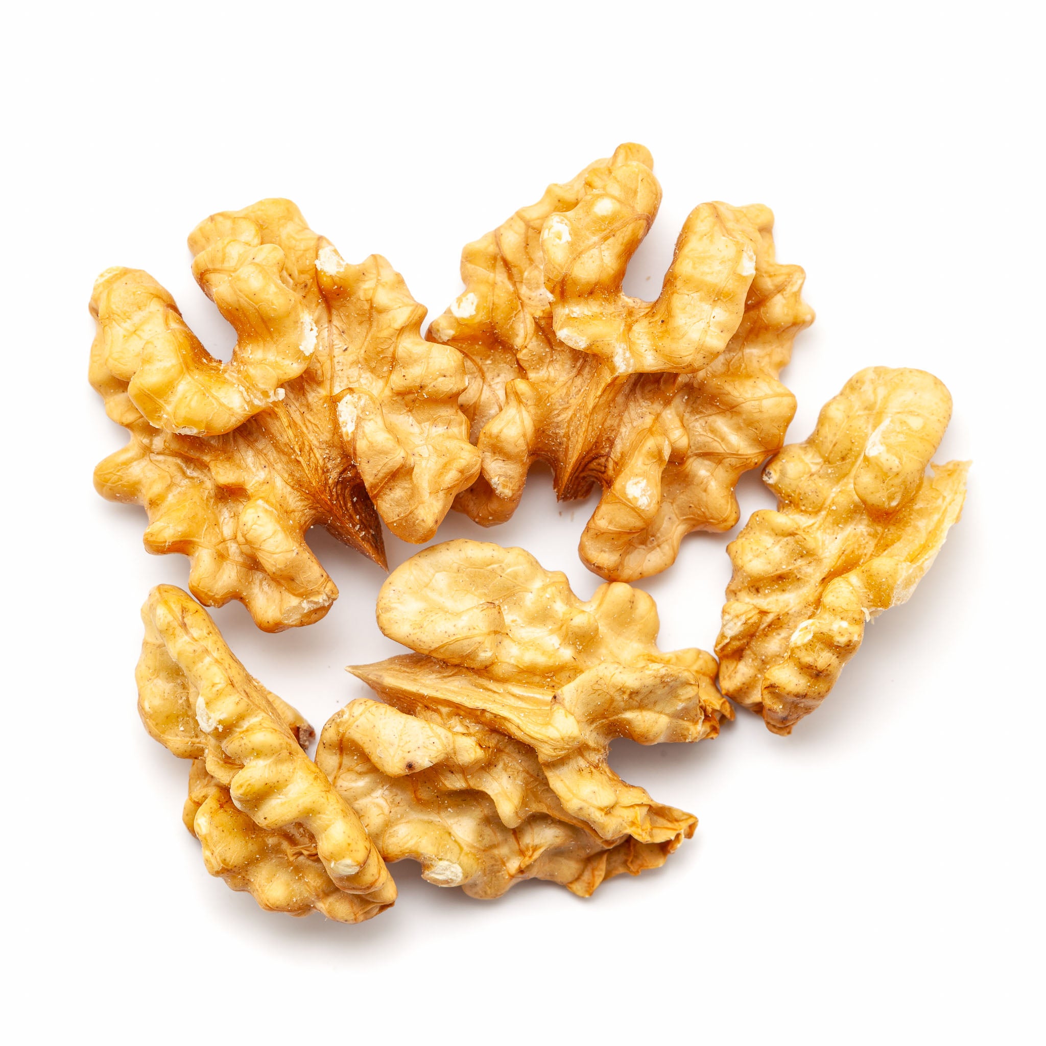 Walnuss 'Franquette'