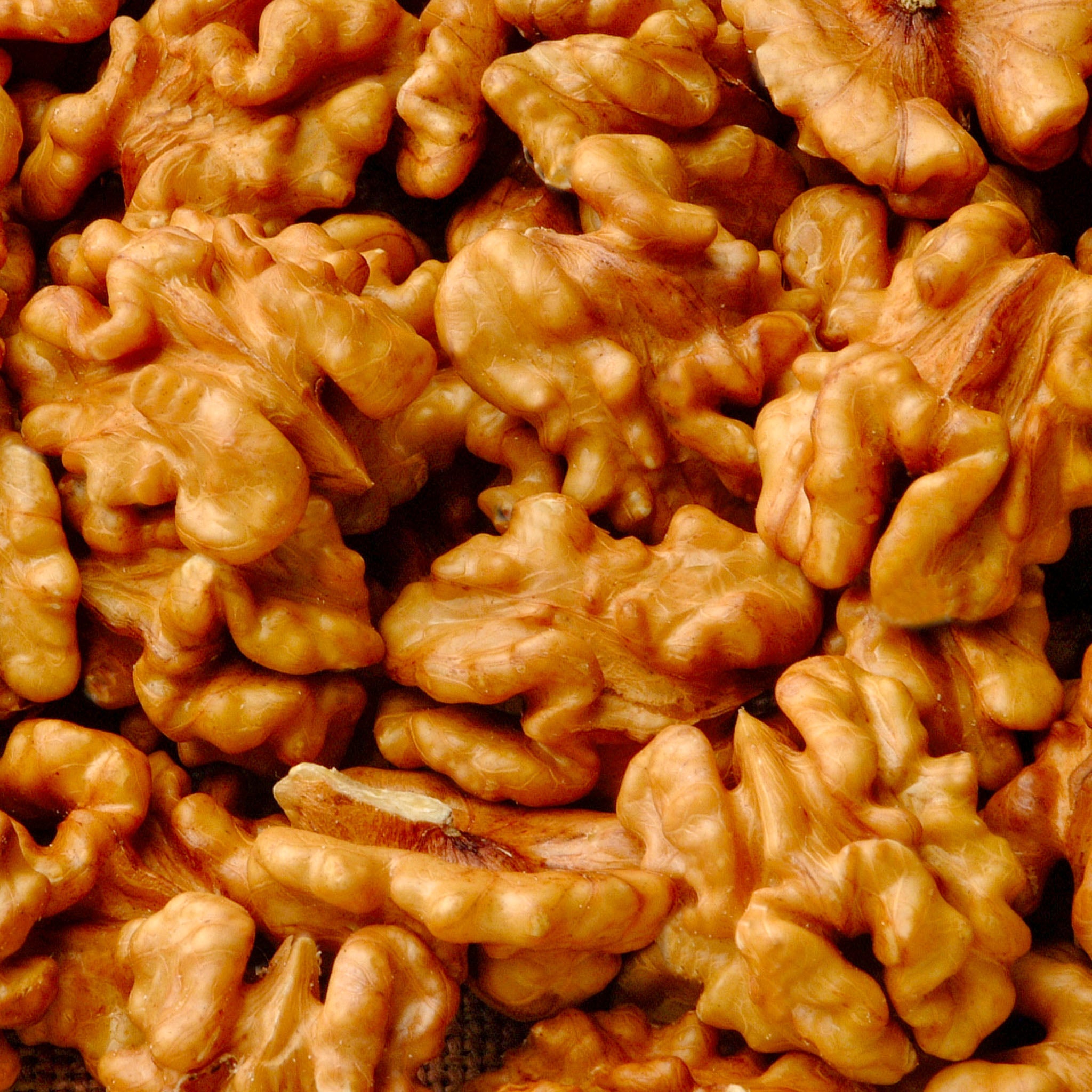 Walnuss 'Lara'