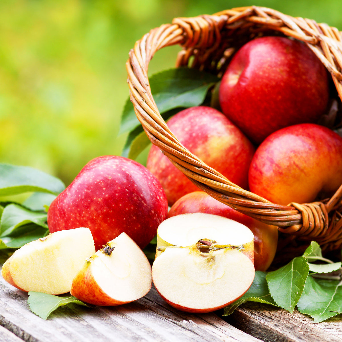 Apfel 'Evelina' - Buschbaum