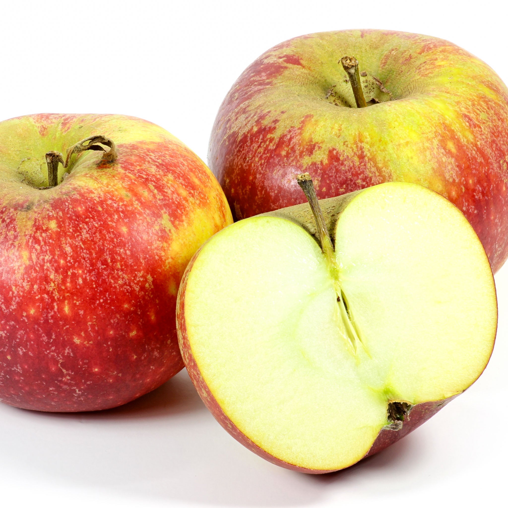 Apfel 'Ingrid Marie' - Buschbaum