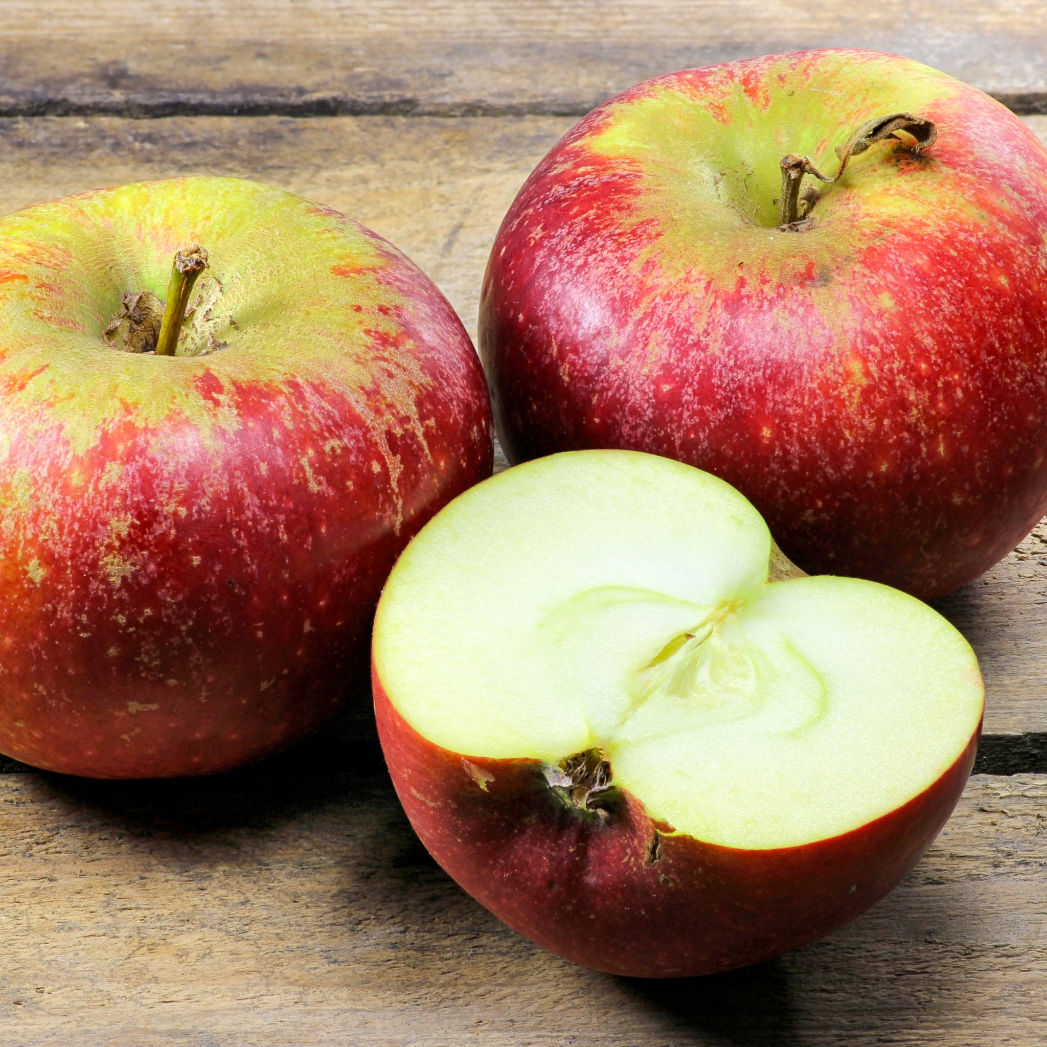 Apfel 'Ingrid Marie' - Buschbaum