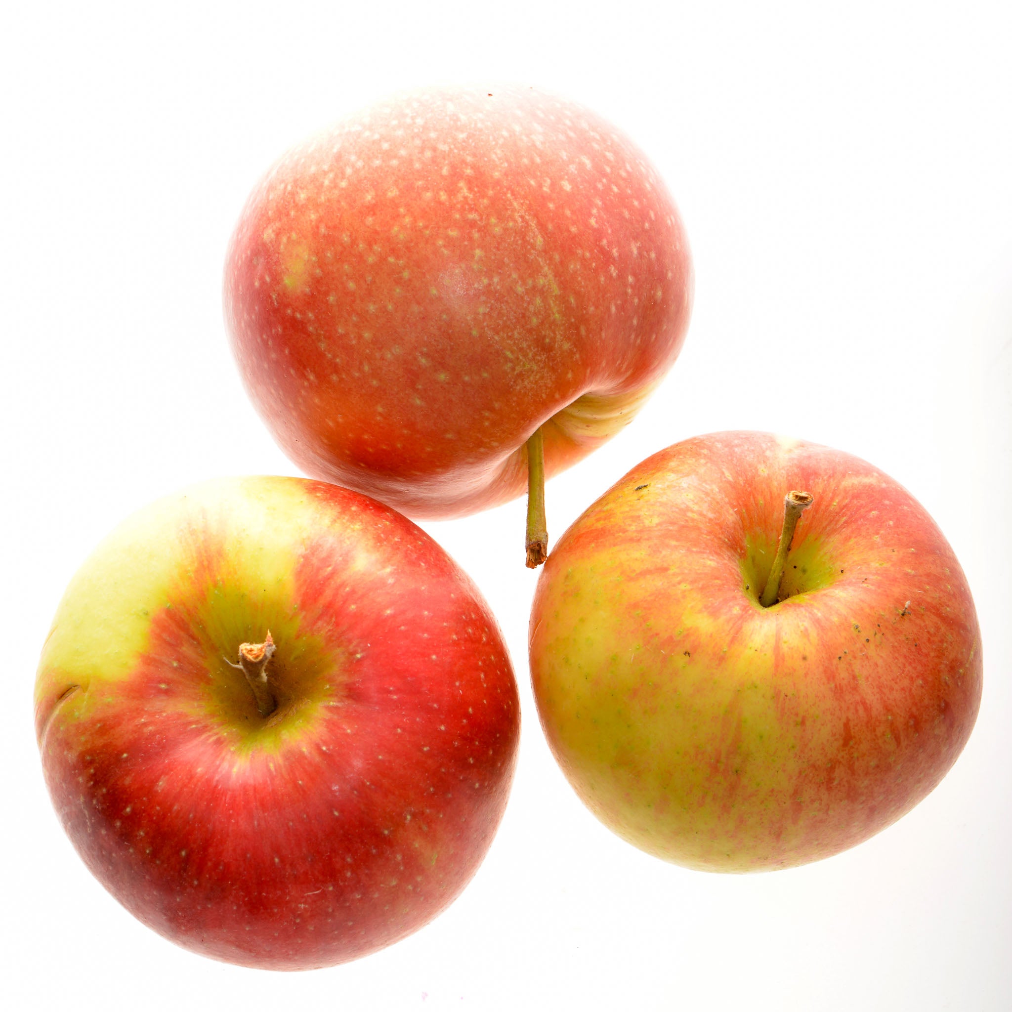 Apfel 'Santana' - Buschbaum