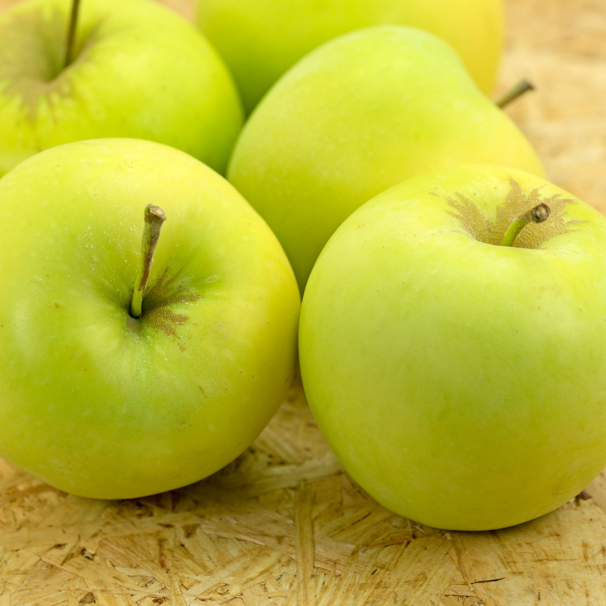 Apfel 'Weißer Klarapfel' - Buschbaum