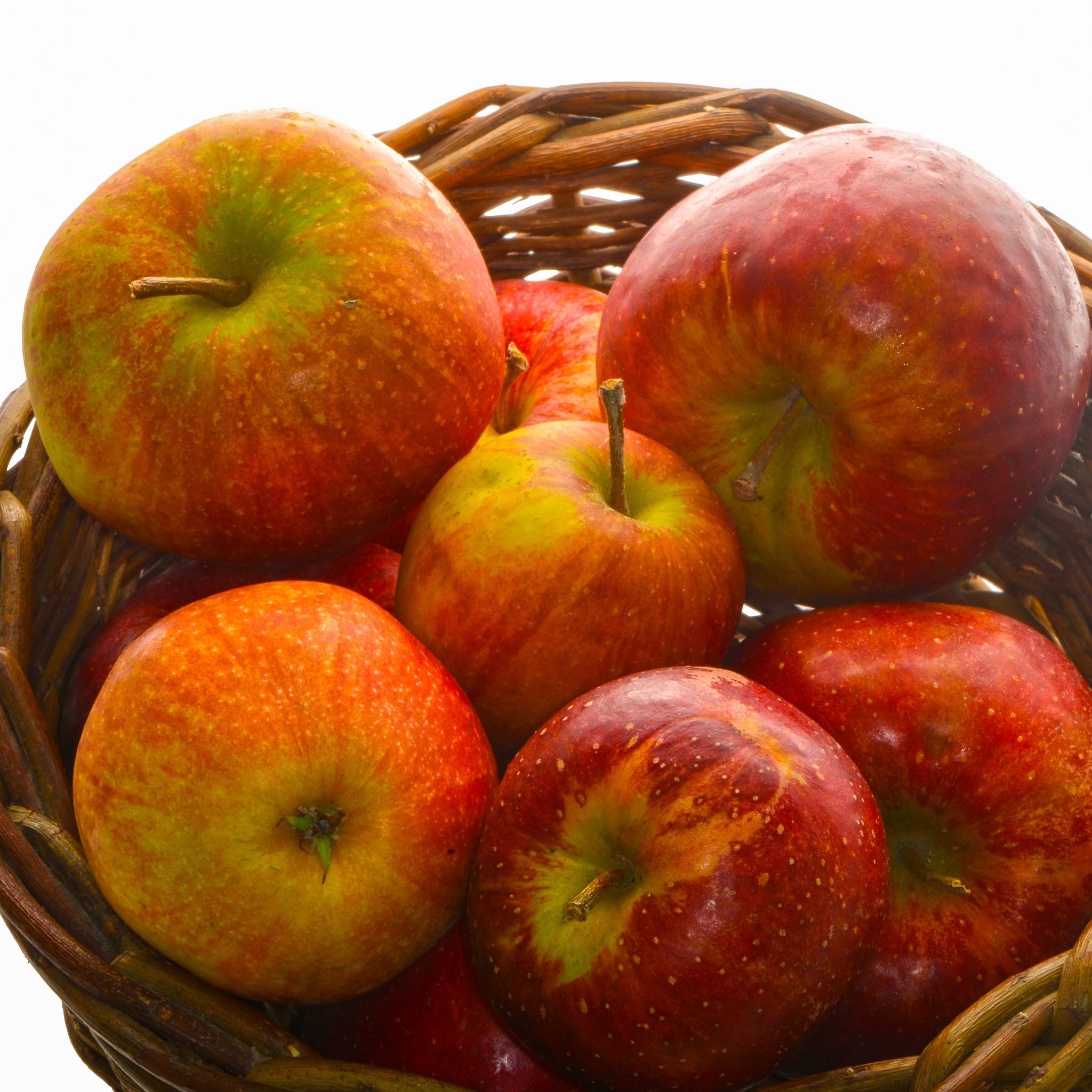 Apfel 'Wellant' - Buschbaum