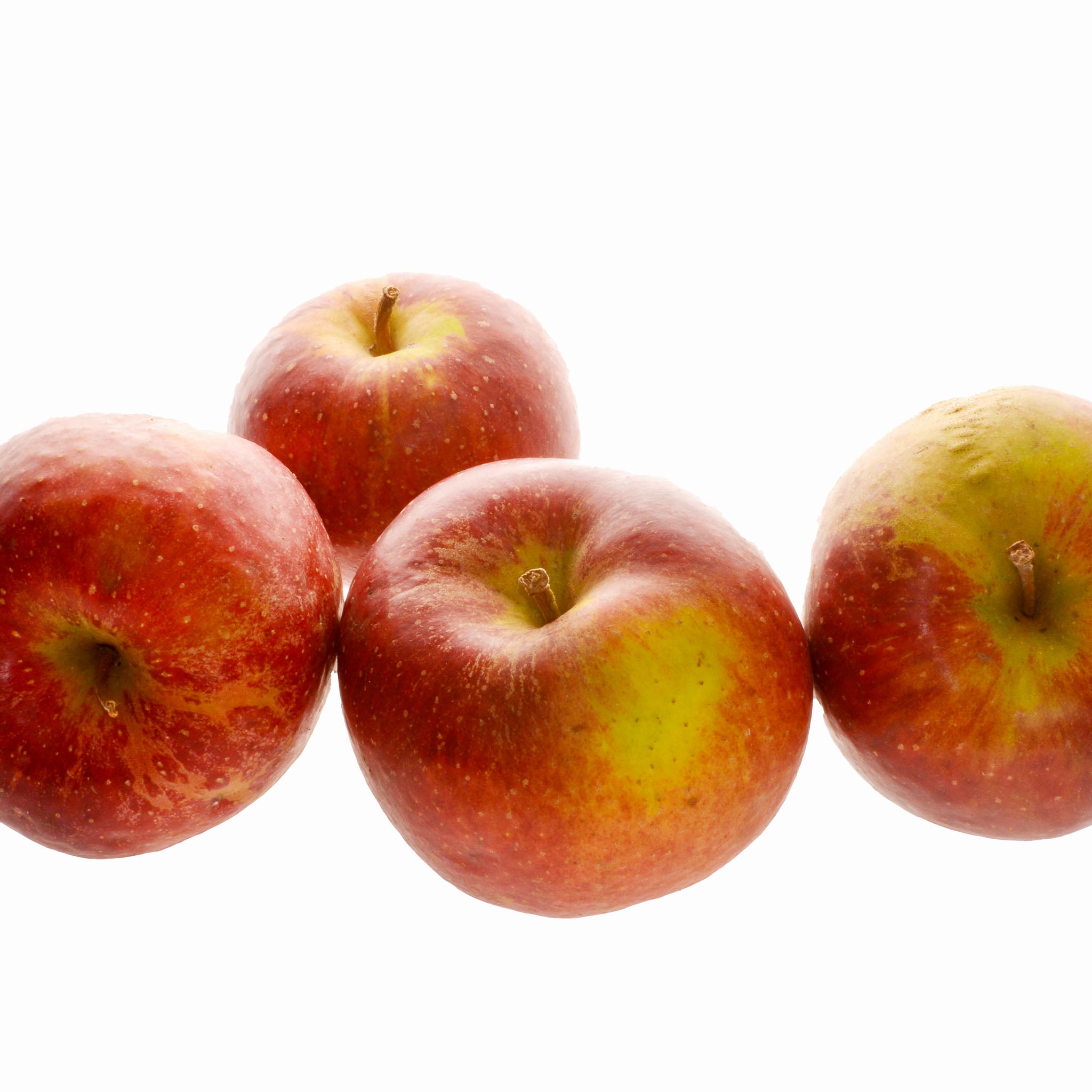 Apfel 'Wellant' - Buschbaum