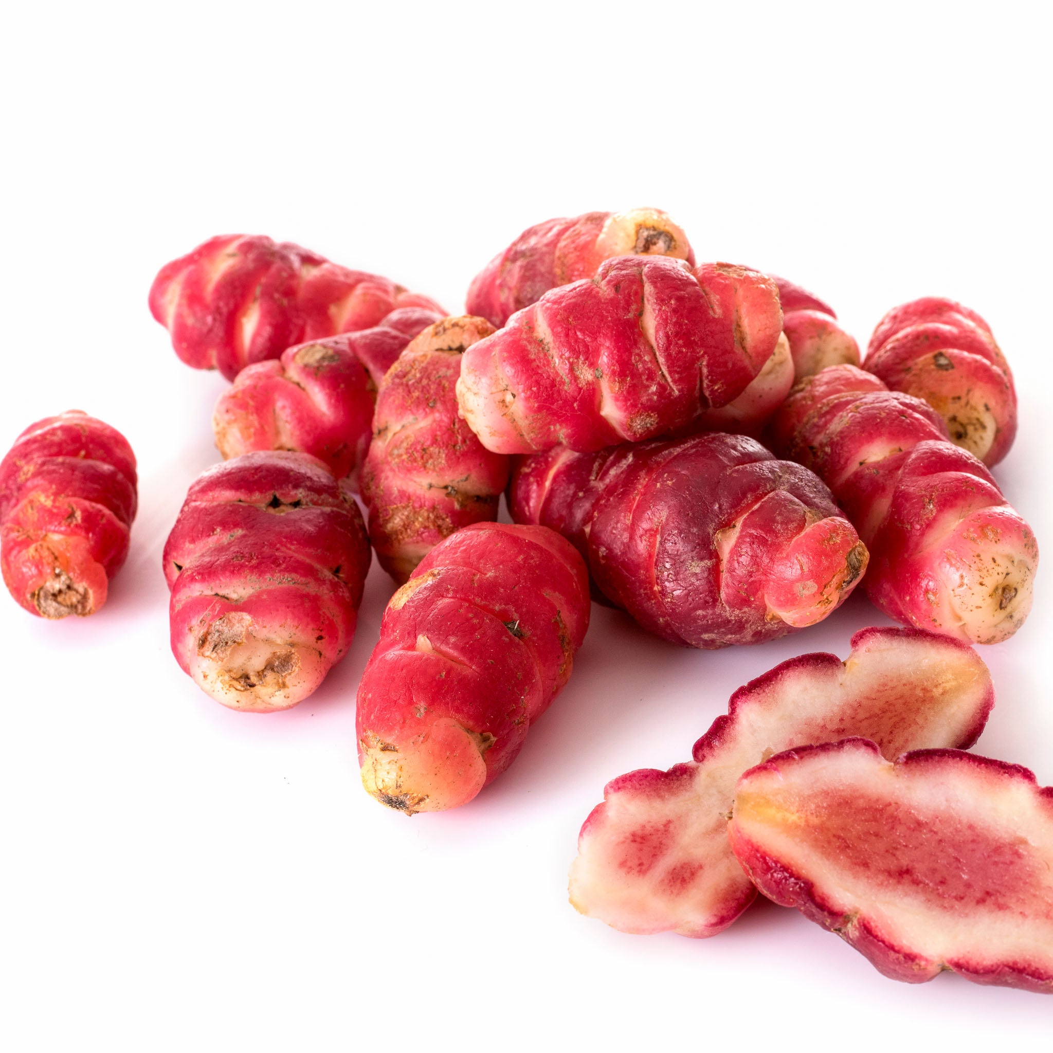 Oca 'Red Cardinal'