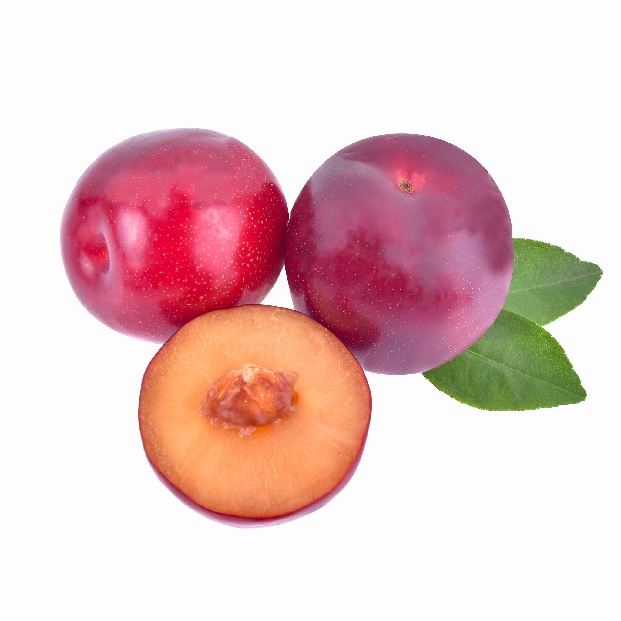 Kirschpflaume 'Blau-Rote Selektion'