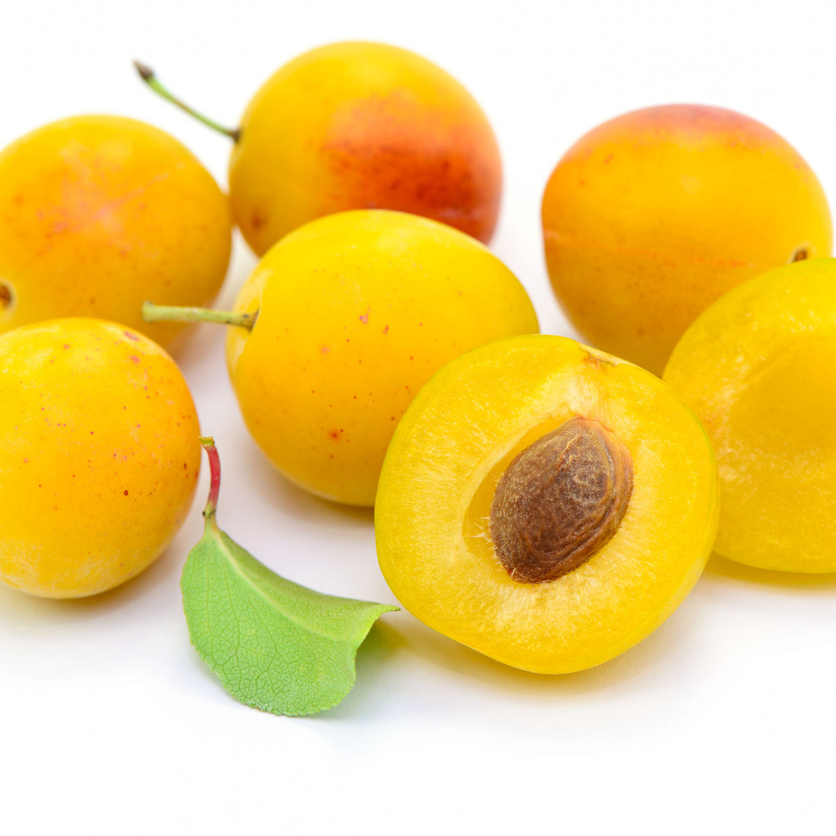 Mirabelle 'Bellamira'