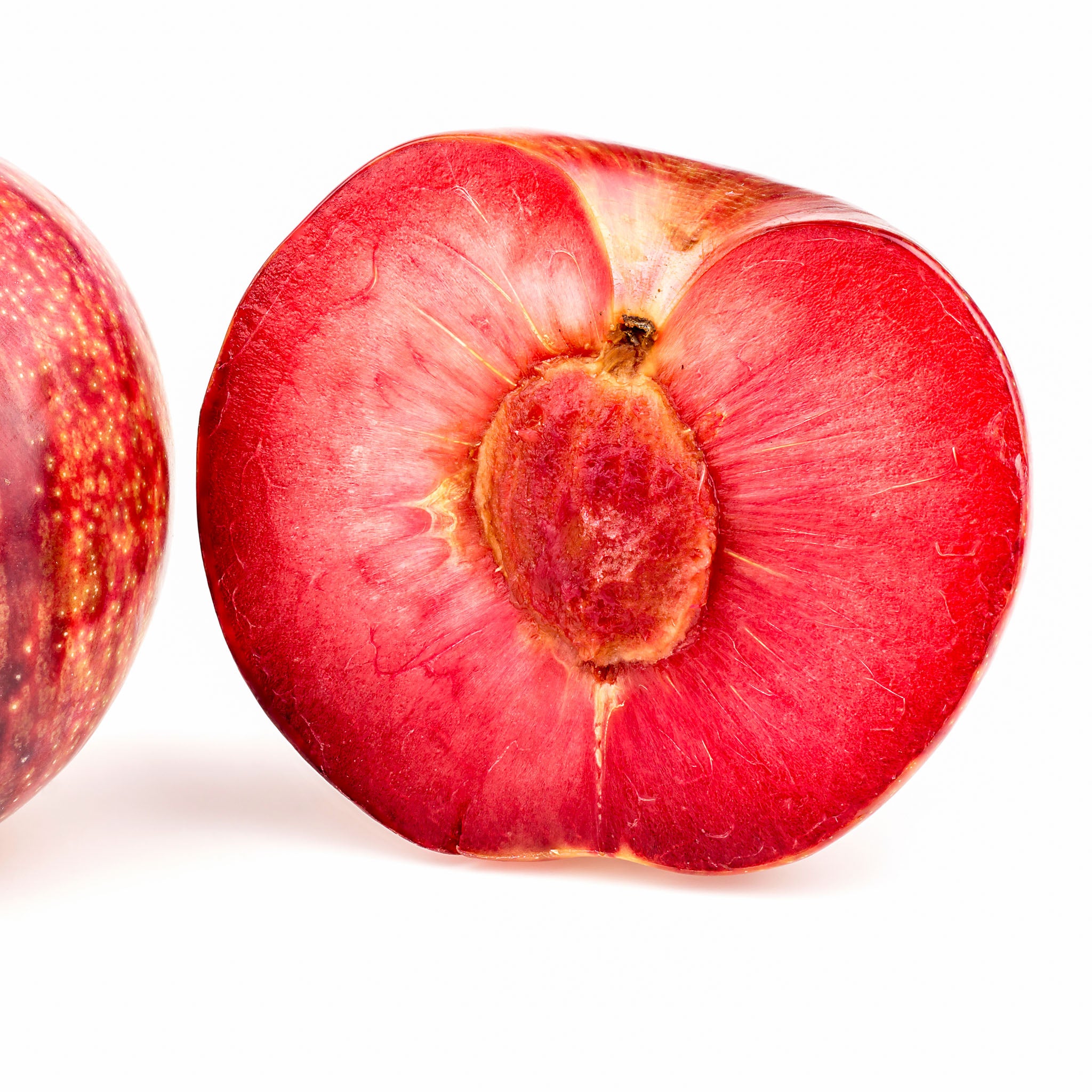 Aprikosen-Pflaume 'Dapple Dandy'