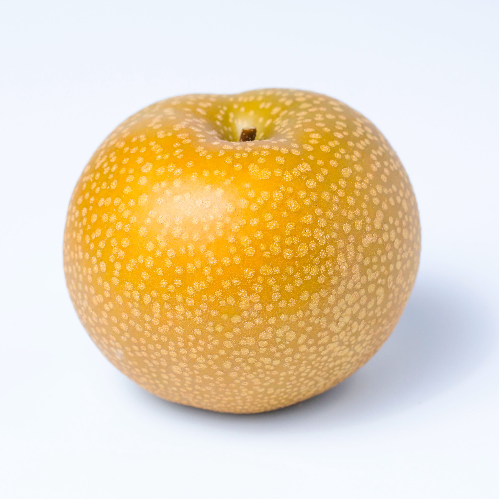 Nashi-Birne 'Hayatama'
