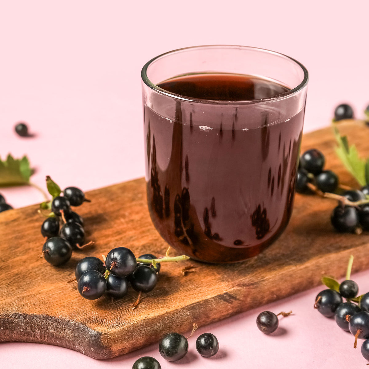 Schwarze Johannisbeere 'Silvergieters Schwarze'