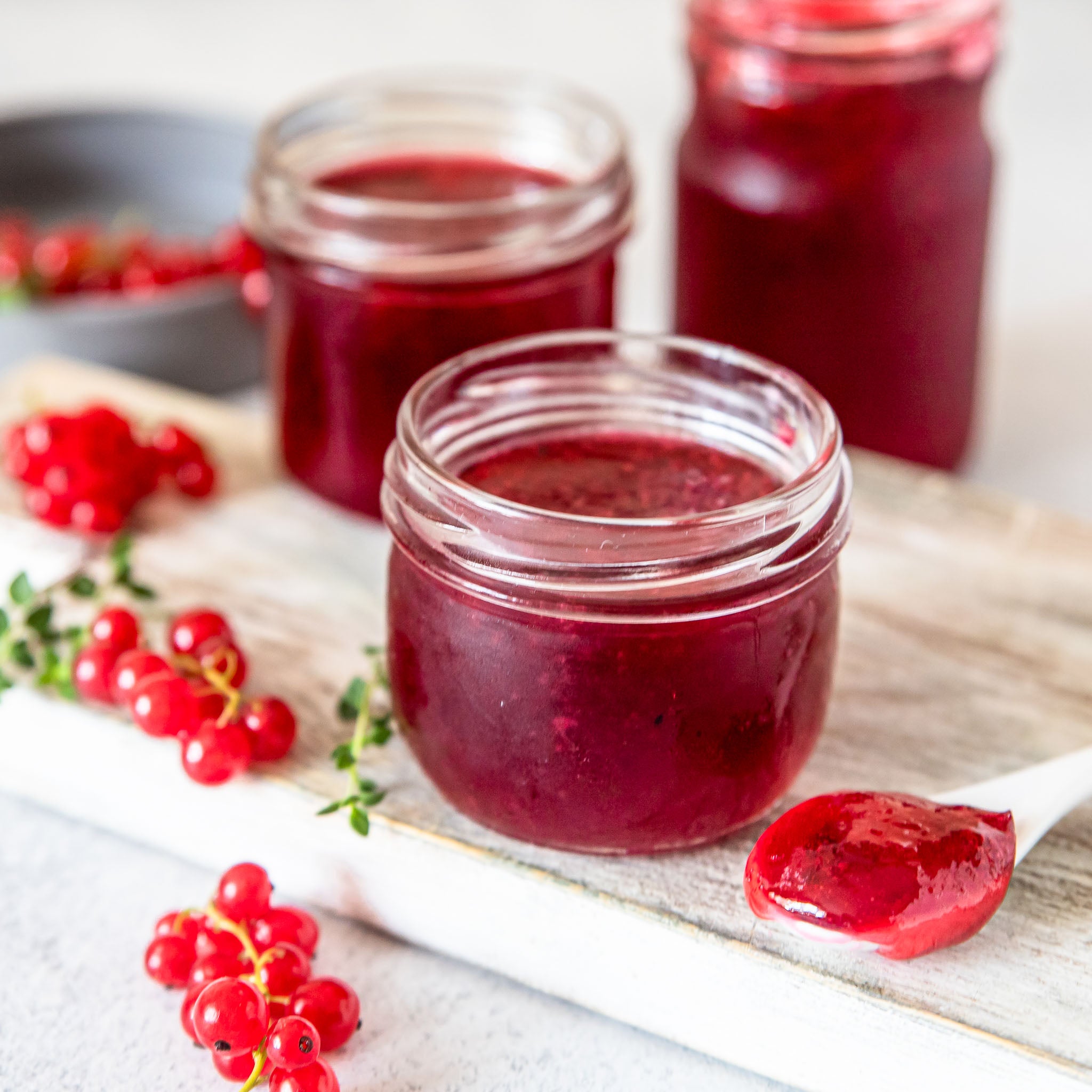 Rote Johannisbeere 'Jonkheer van Tets'