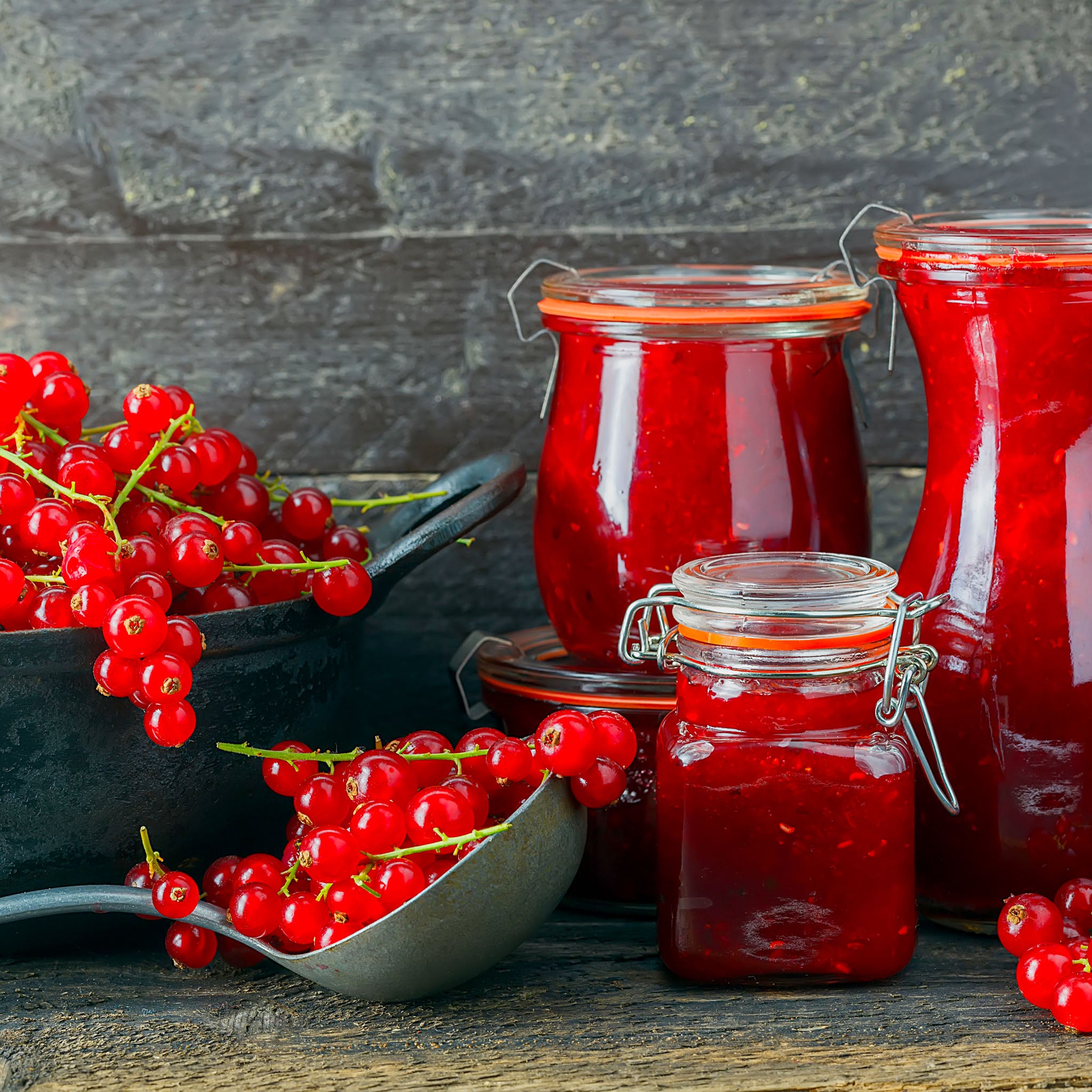 Rote Johannisbeere 'Lisette®'