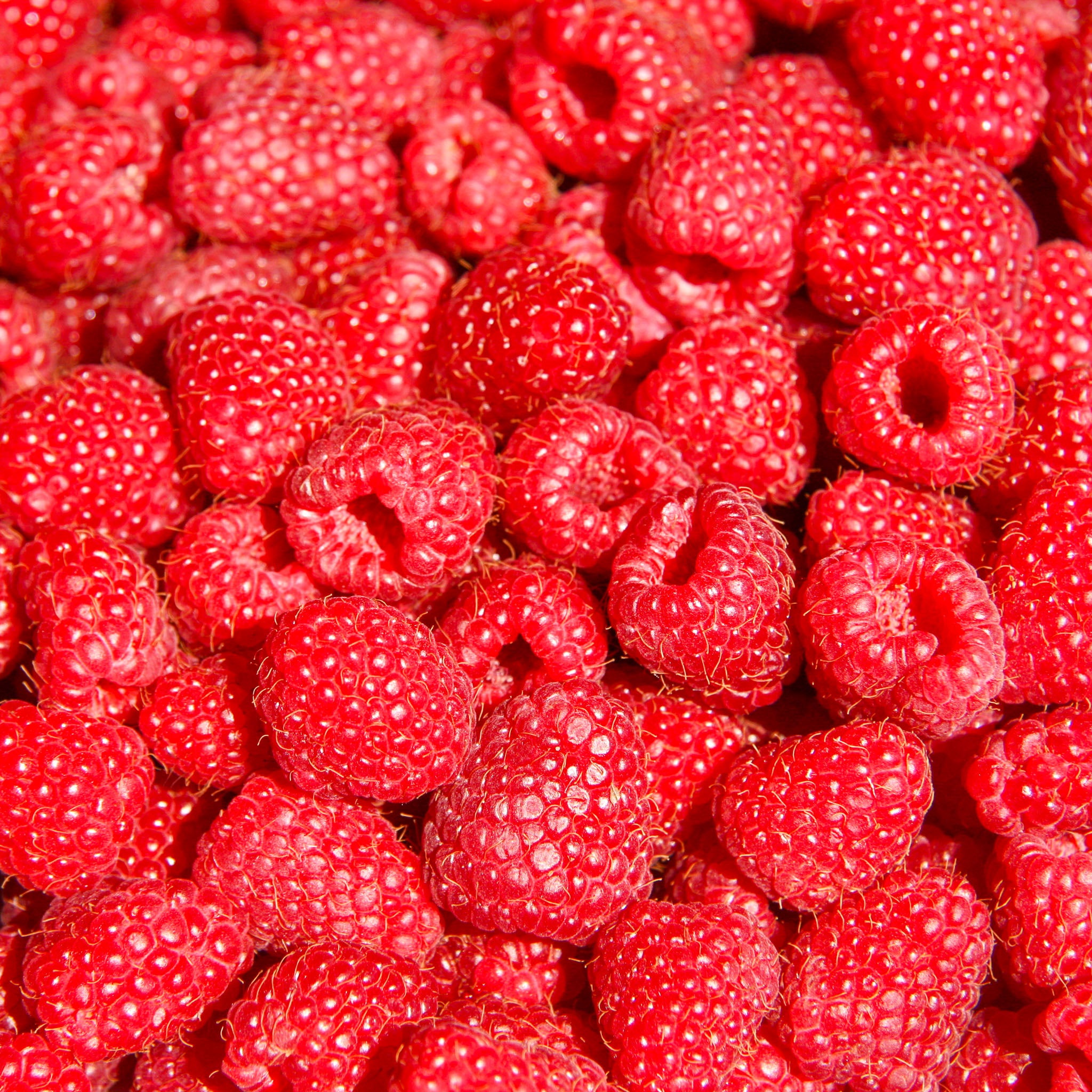 Himbeere 'Schönemann'