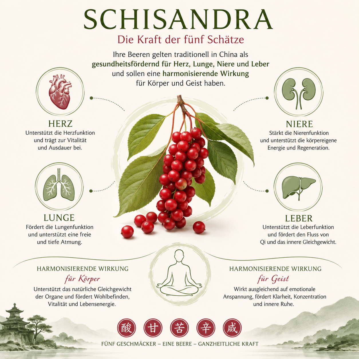 Schisandra 'Wildform'