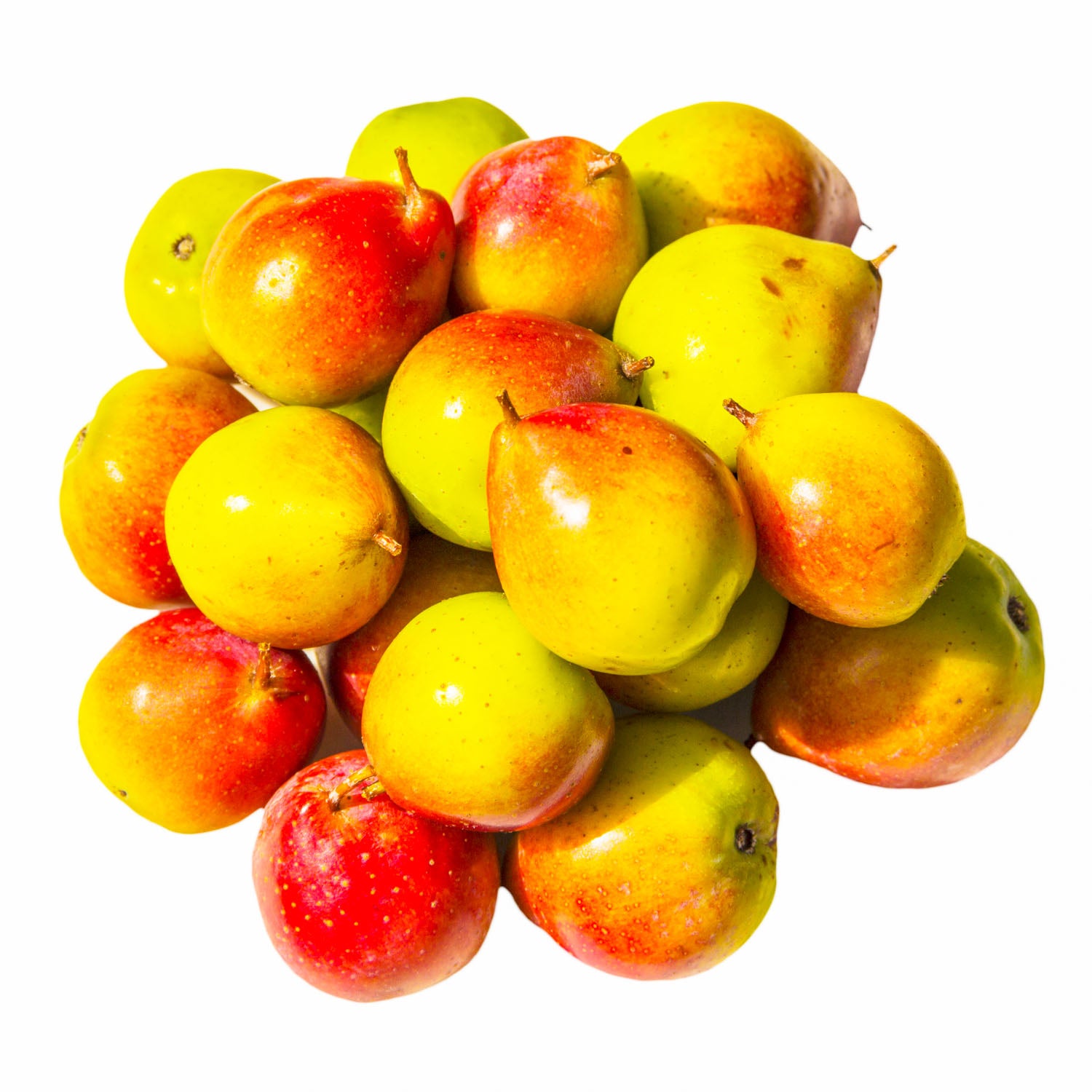 Speierling