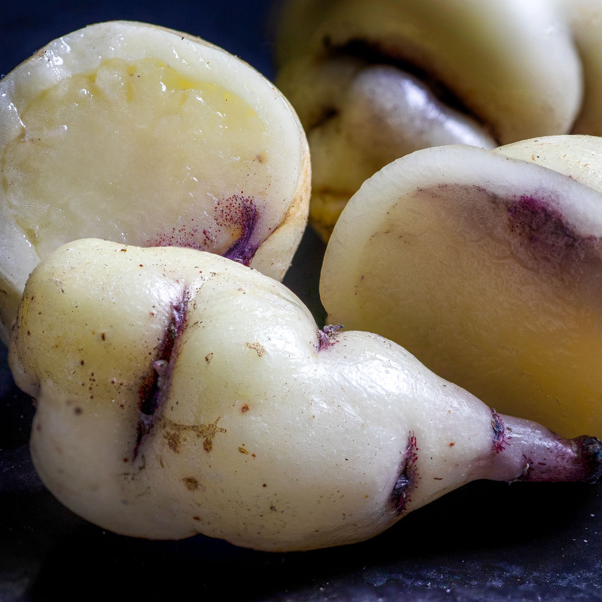 Mashua 'White'