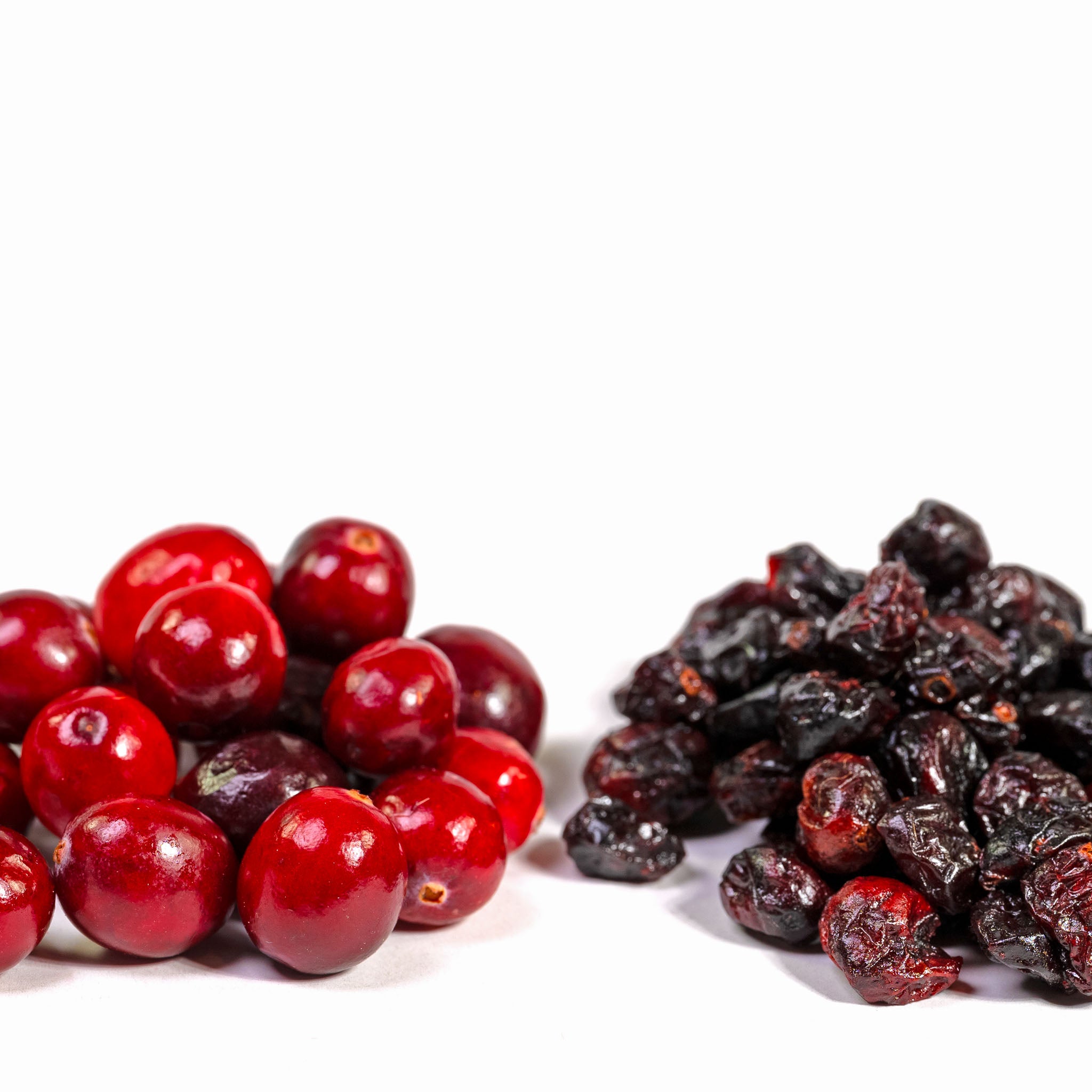 Cranberry 'Stevens'