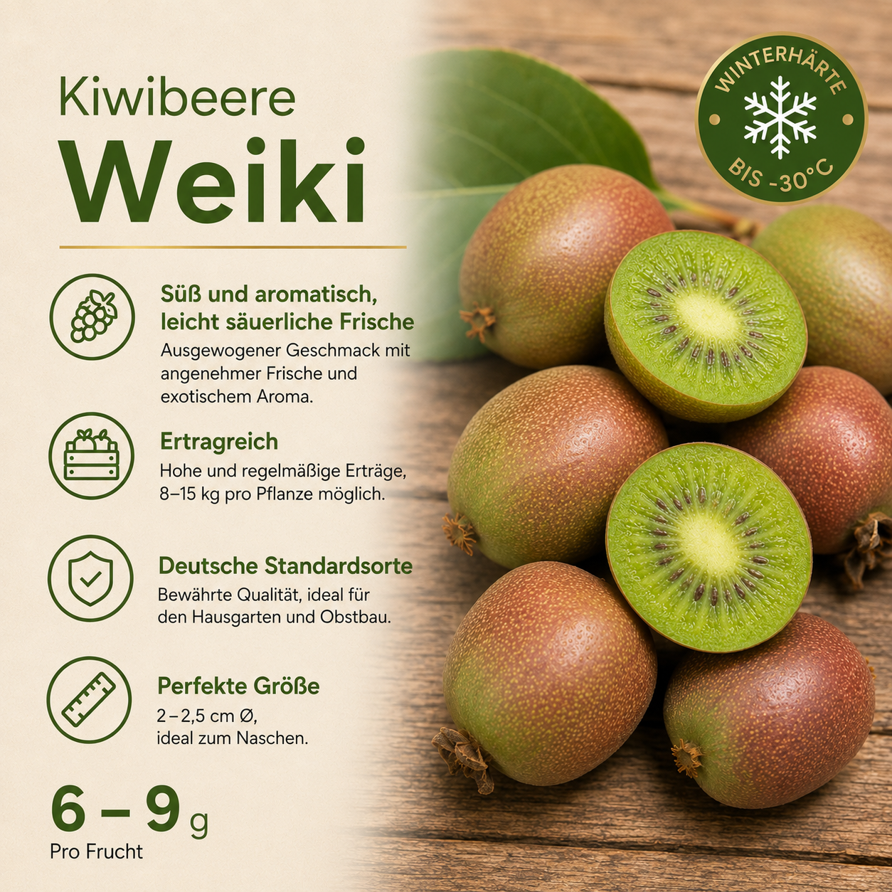 Kiwibeere 'Weiki'