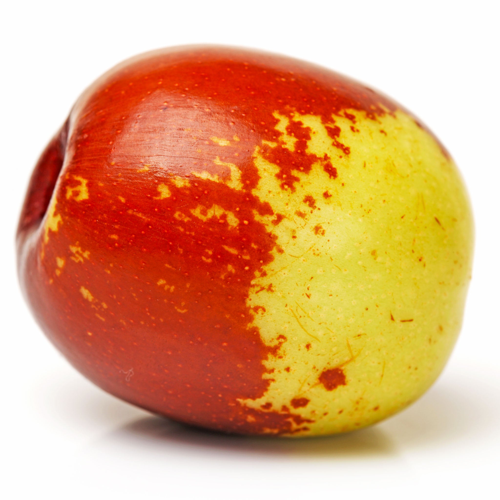 Jujube 'Dongzao'