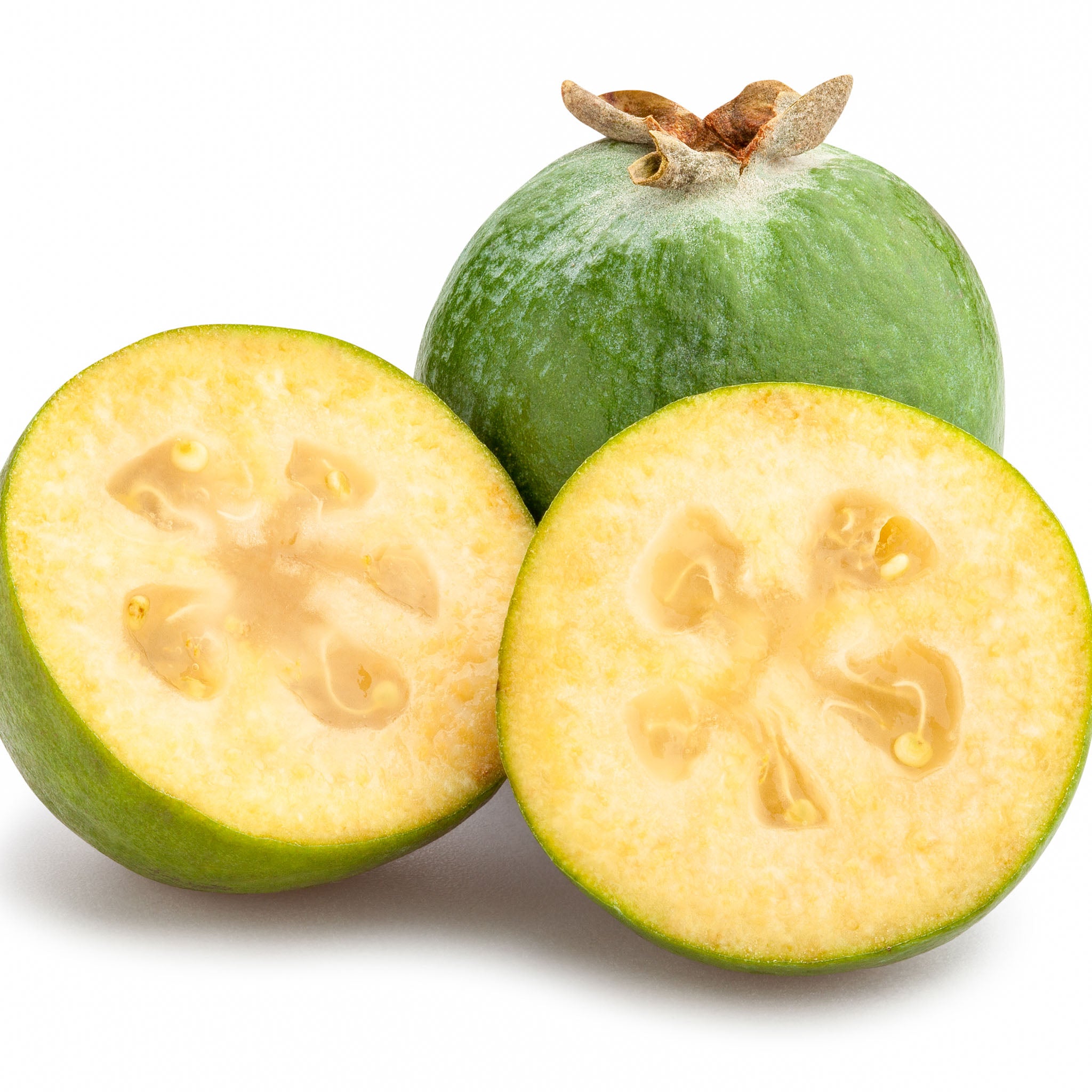 Ananas-Guave 'Mammoth'