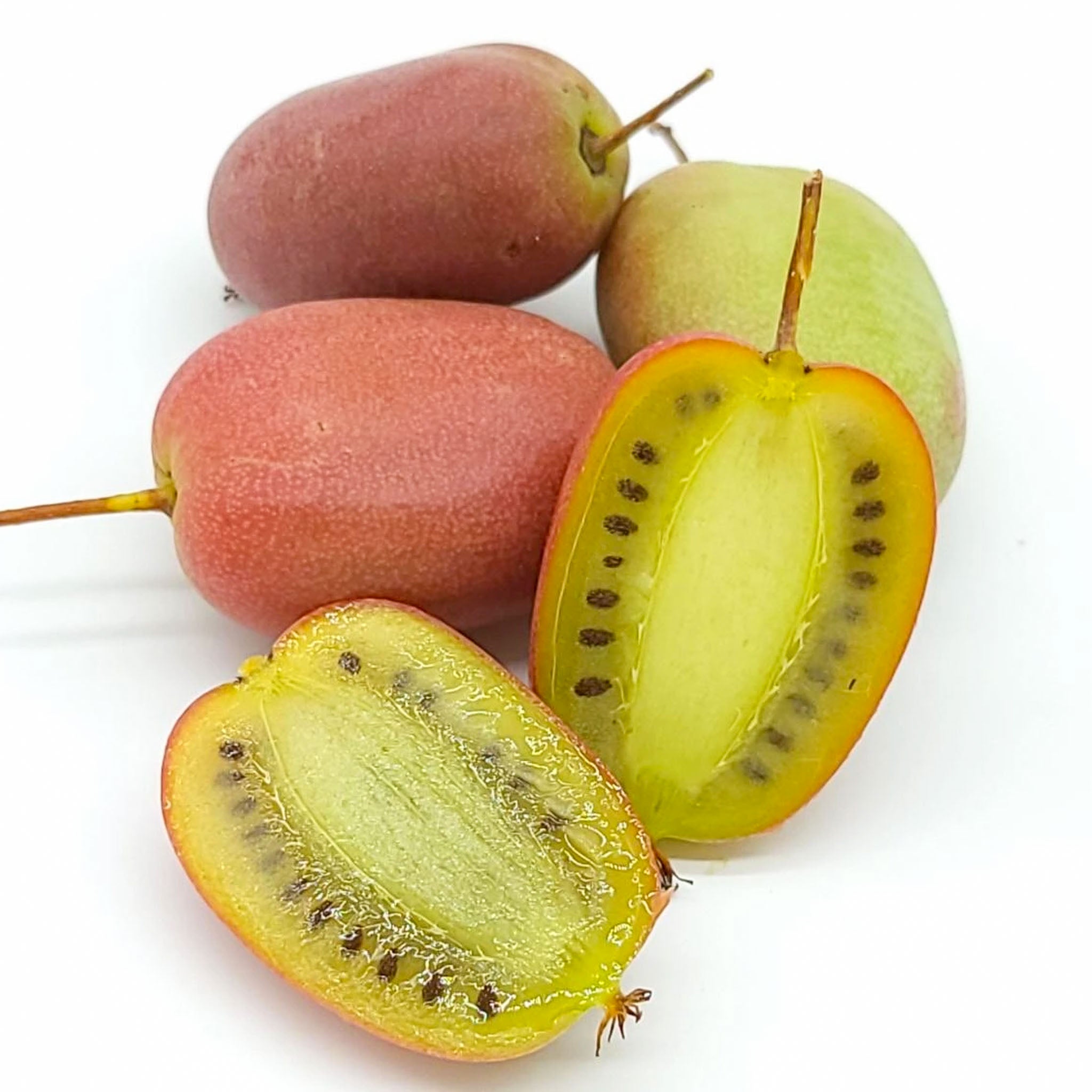 Kiwibeere 'Bingo'