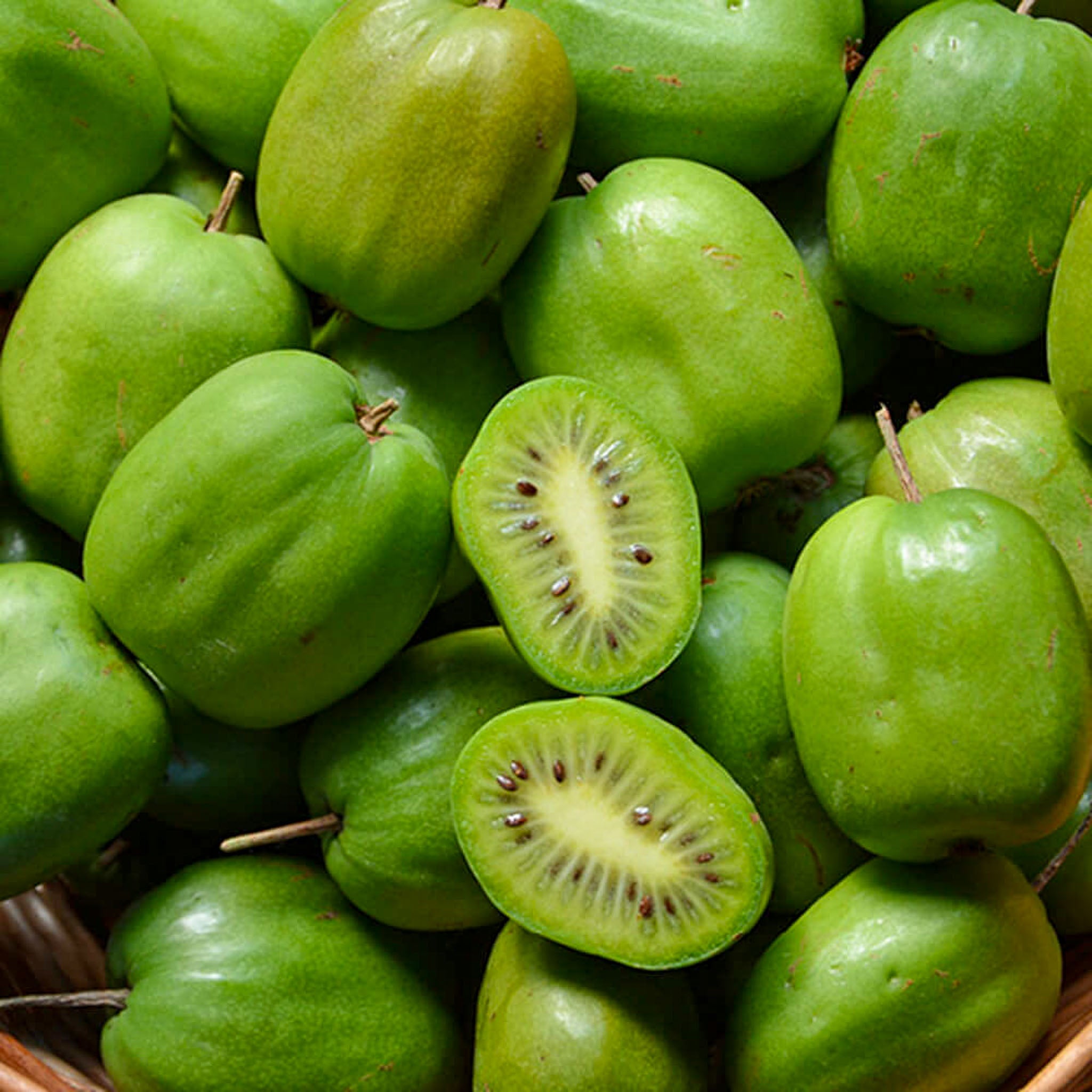 Kiwibeere 'Chang Bai Giant'