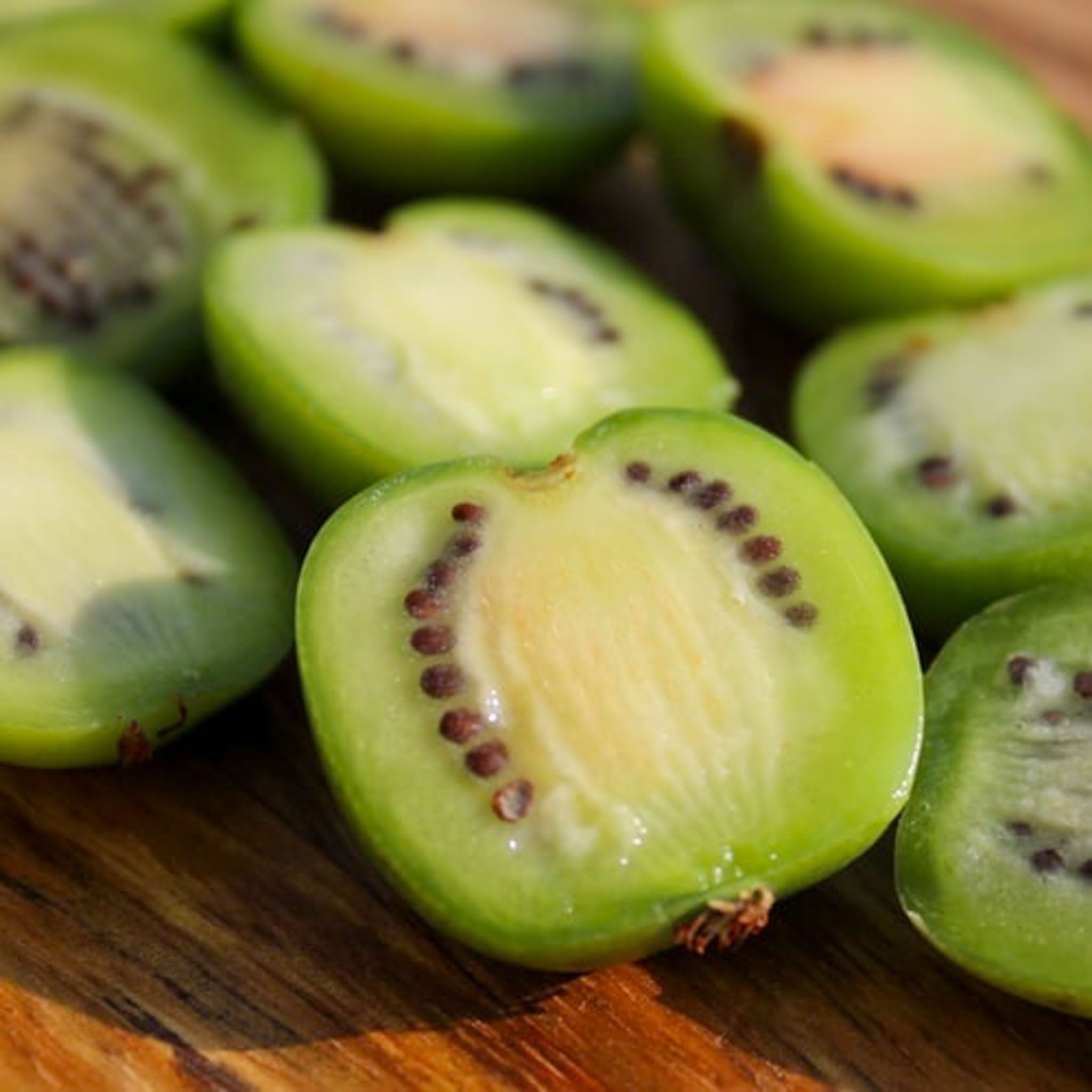 Kiwibeere 'Chang Bai Giant'