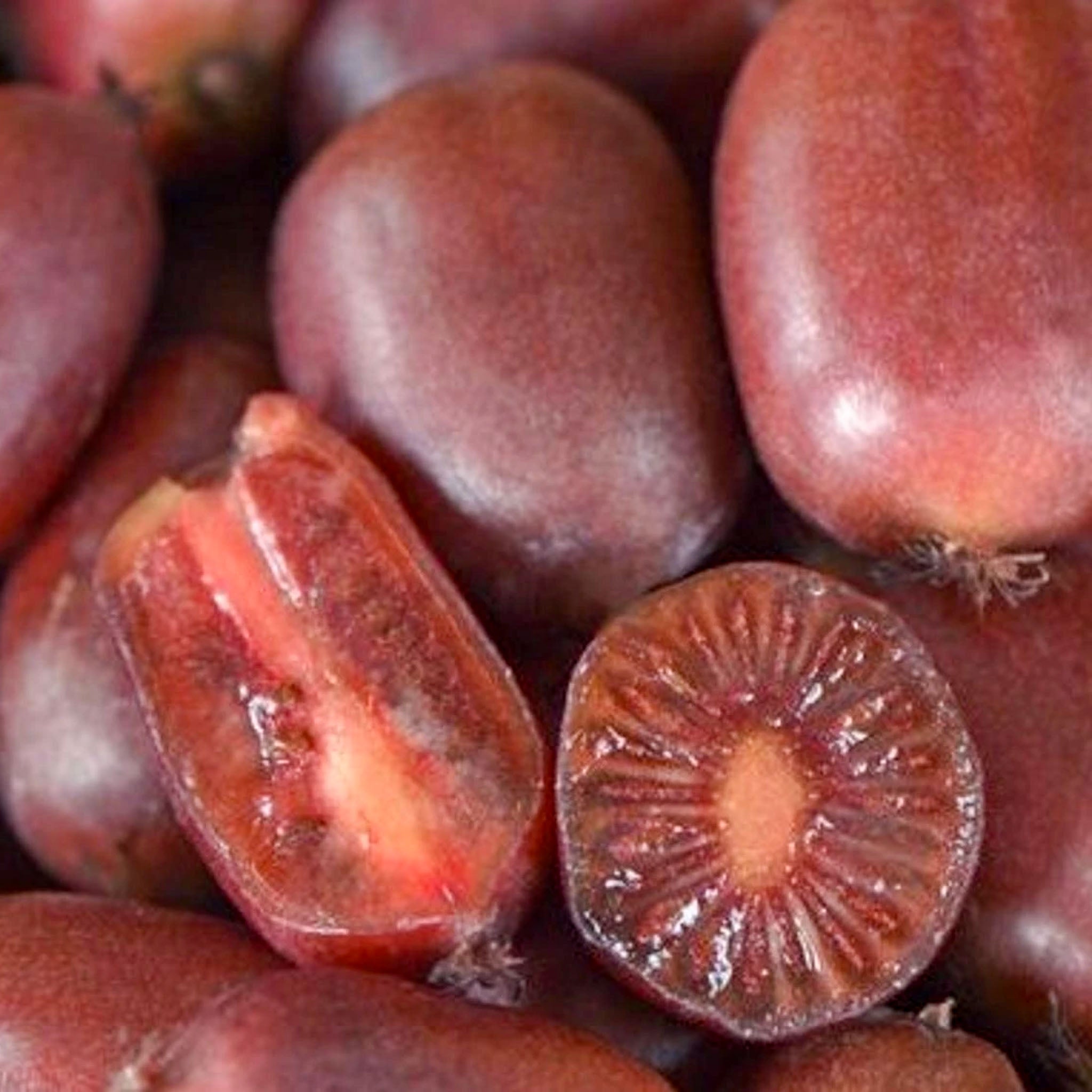 Kiwibeere 'Scarlet September'