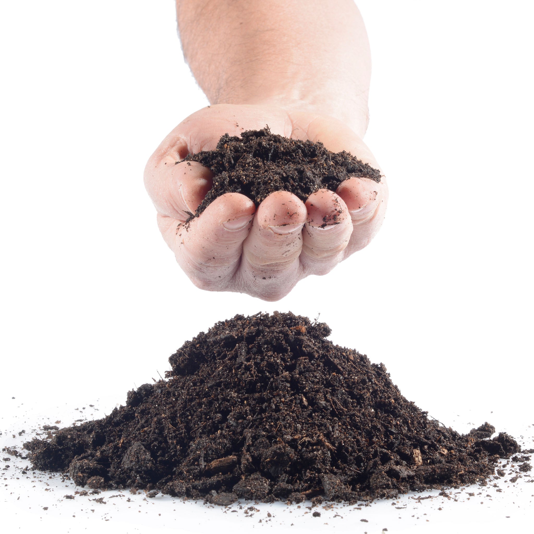 bionero Bio-Anzucht- & Kräutererde Terra Preta